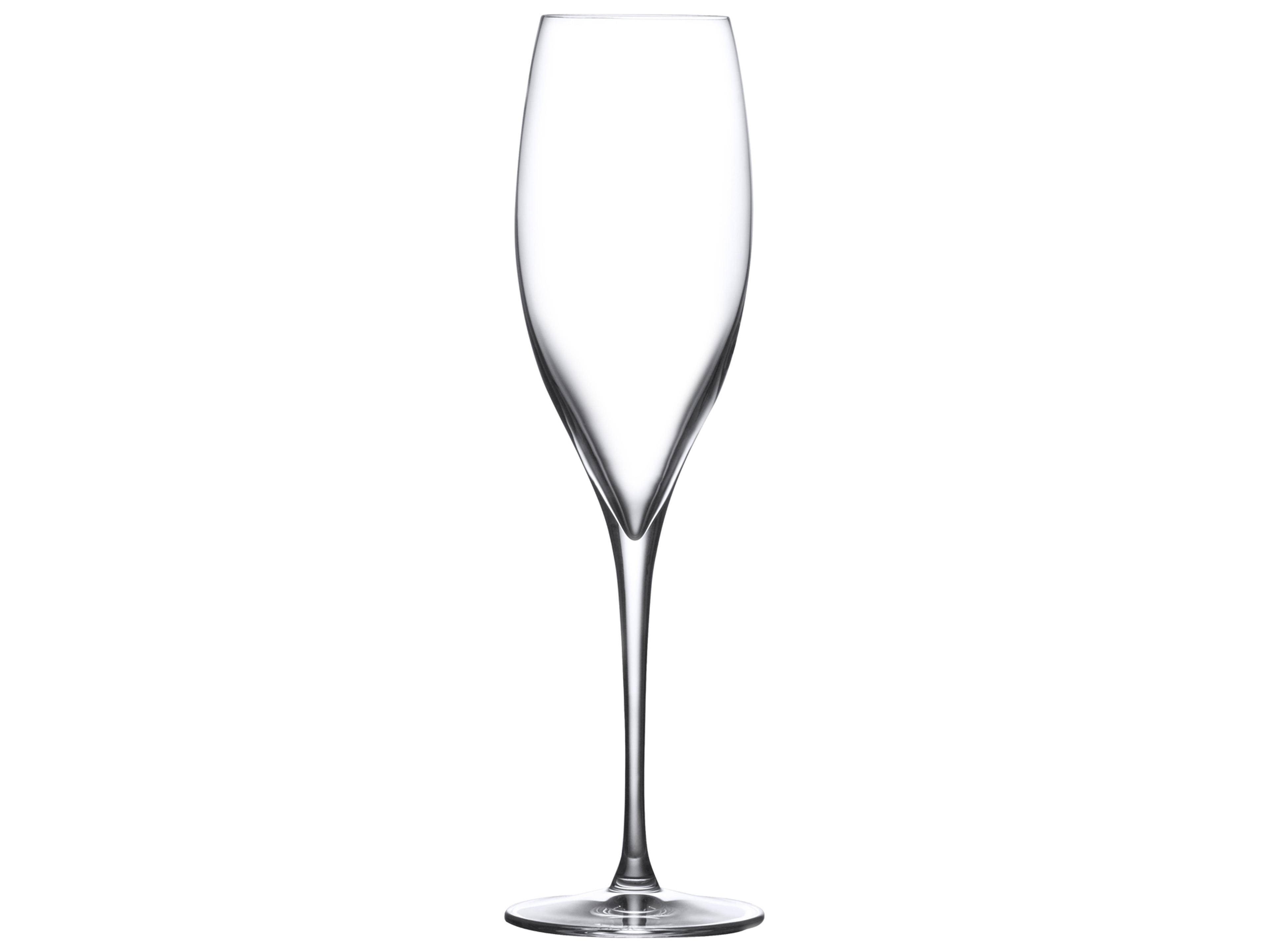 NUDE Terroir Clear Champagne Glass Set of 2