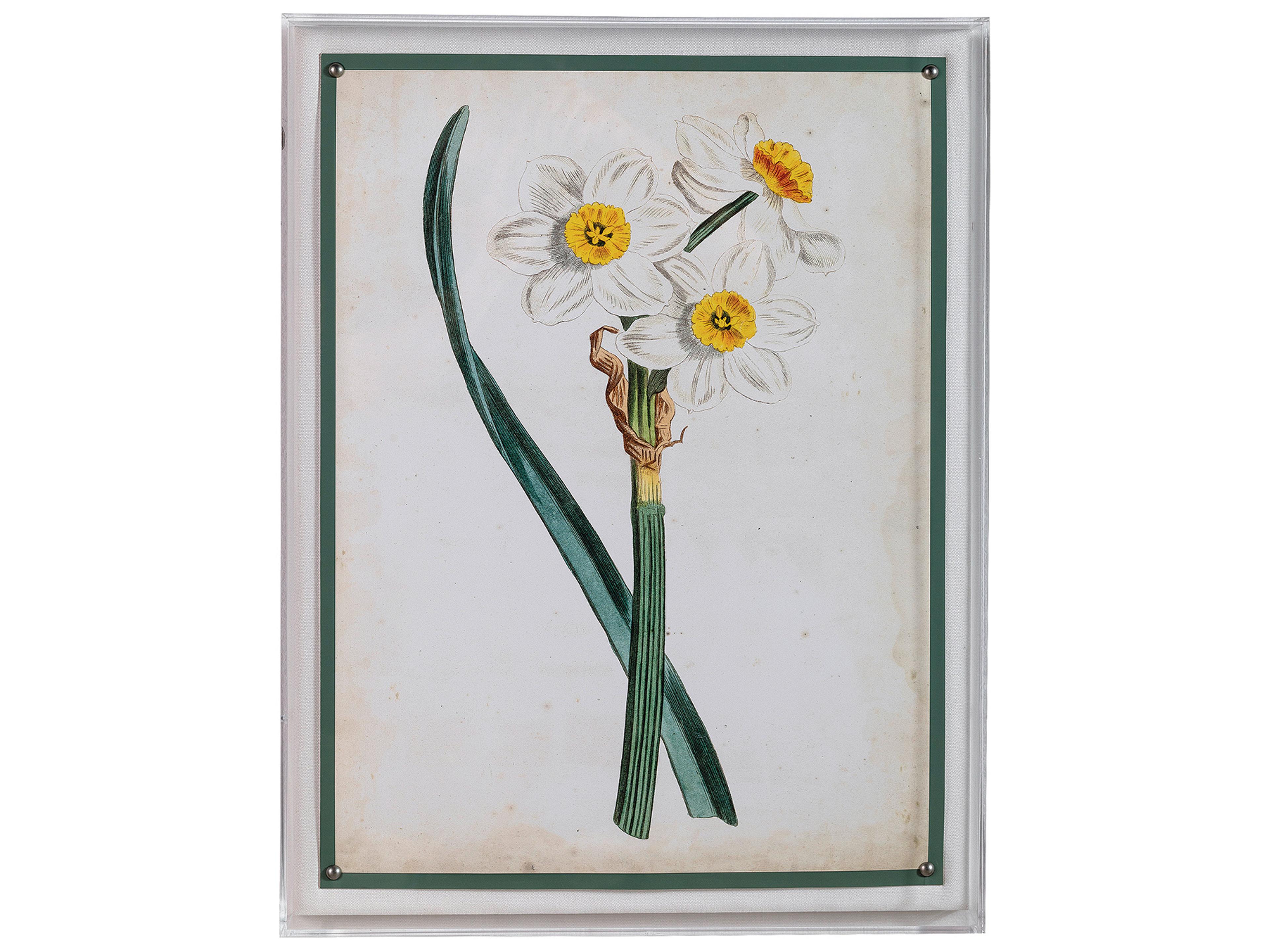 Port 68 Narcissus Iii