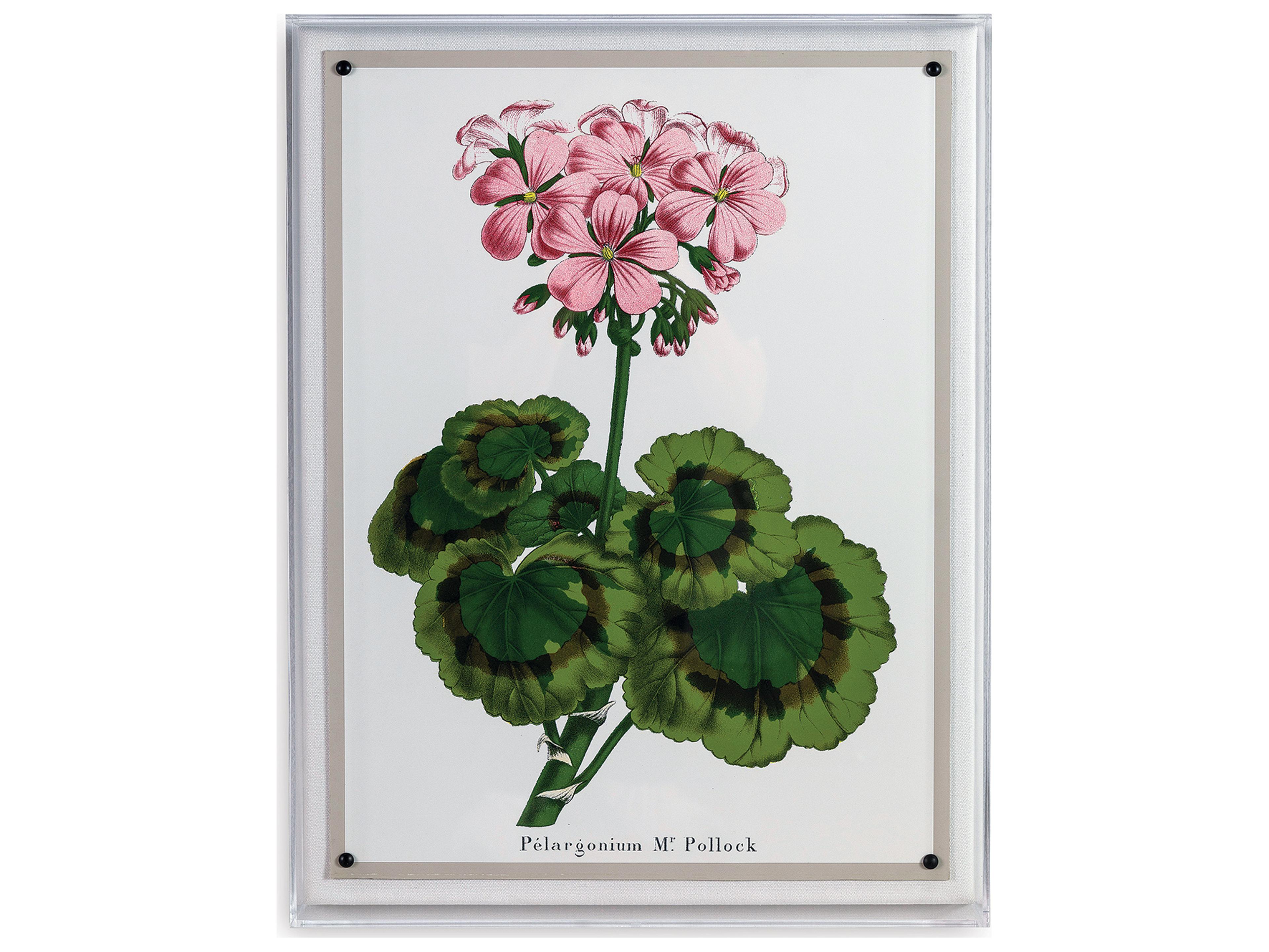 Port 68 Geranium Ii