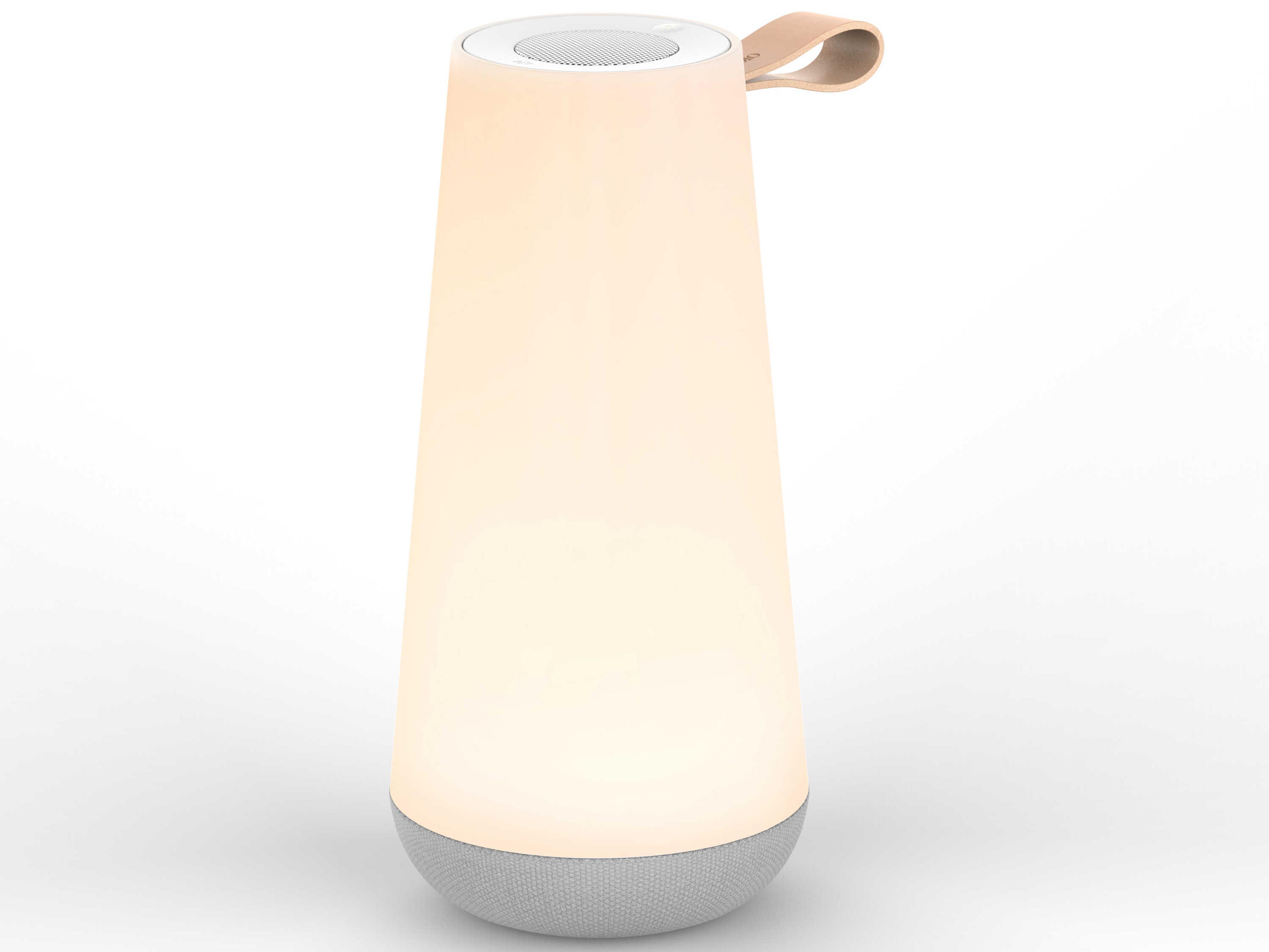 Pablo Uma 1-Light Outdoor Lamp