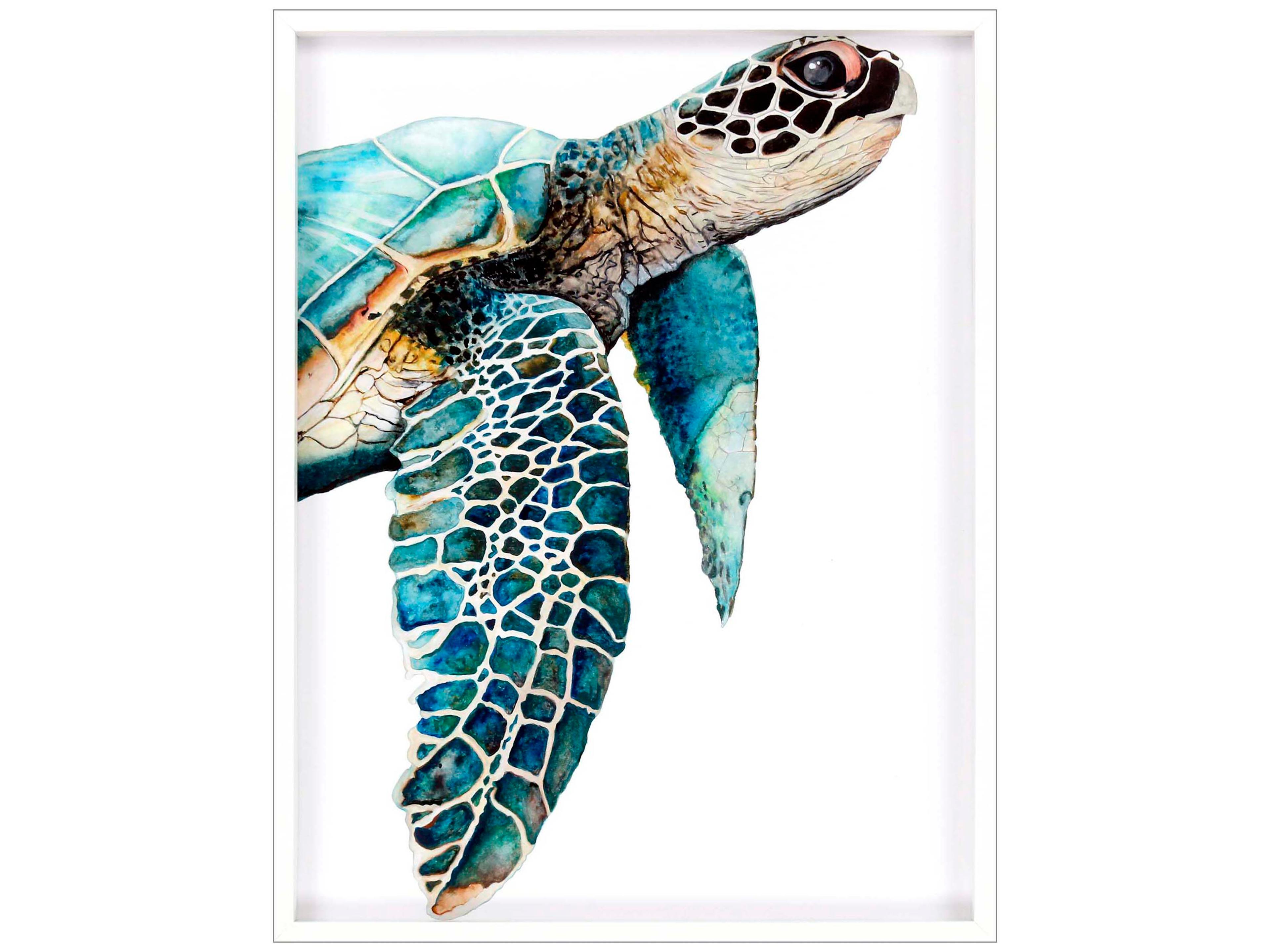 Paragon Animals Great Sea Turtle Wall Art