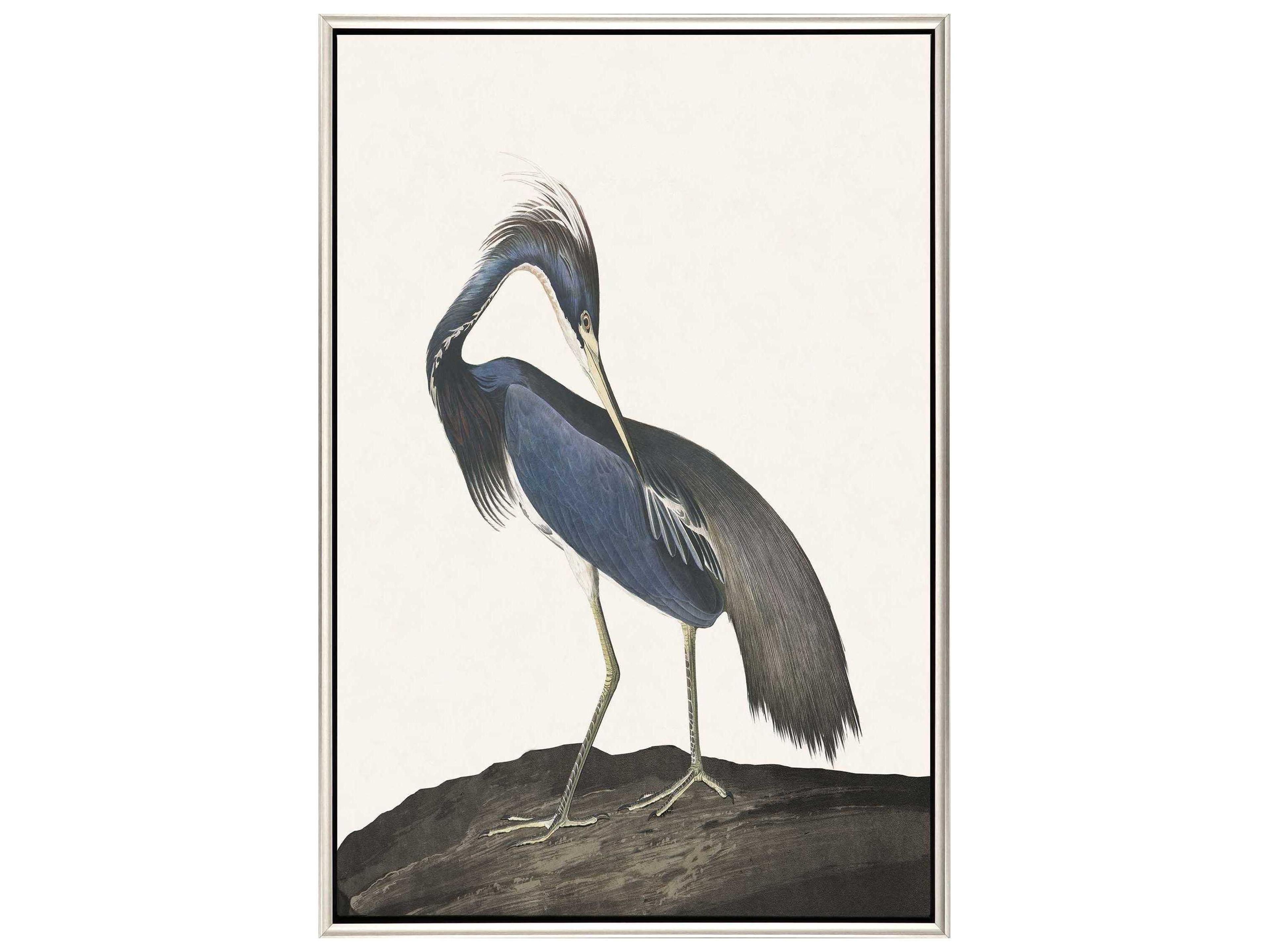 Paragon Great Heron-II Canvas Wall Art