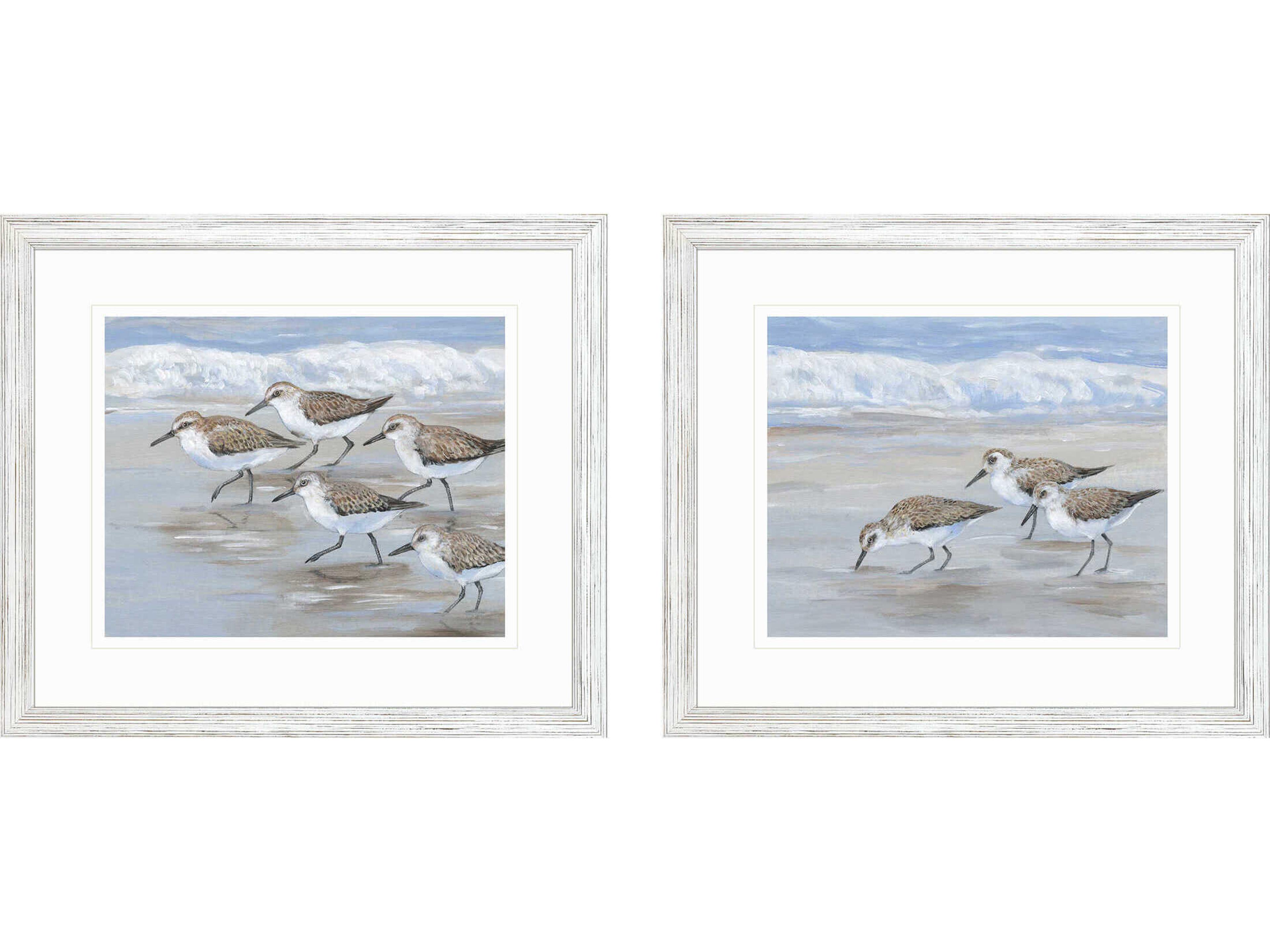 Paragon Animals Sandpipers Wall Art Set of 2
