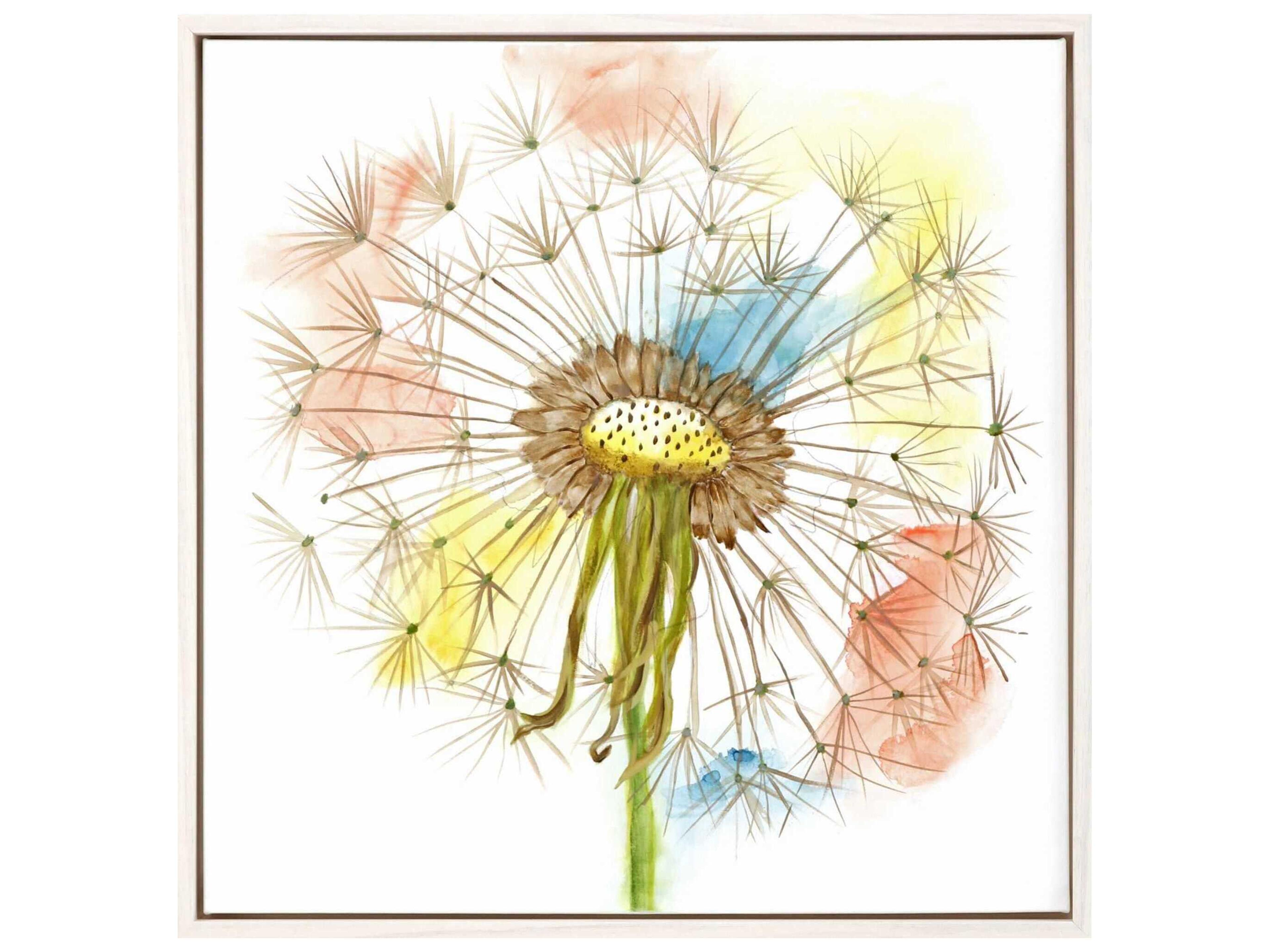 Paragon Florals Dandelion-III Canvas Wall Art