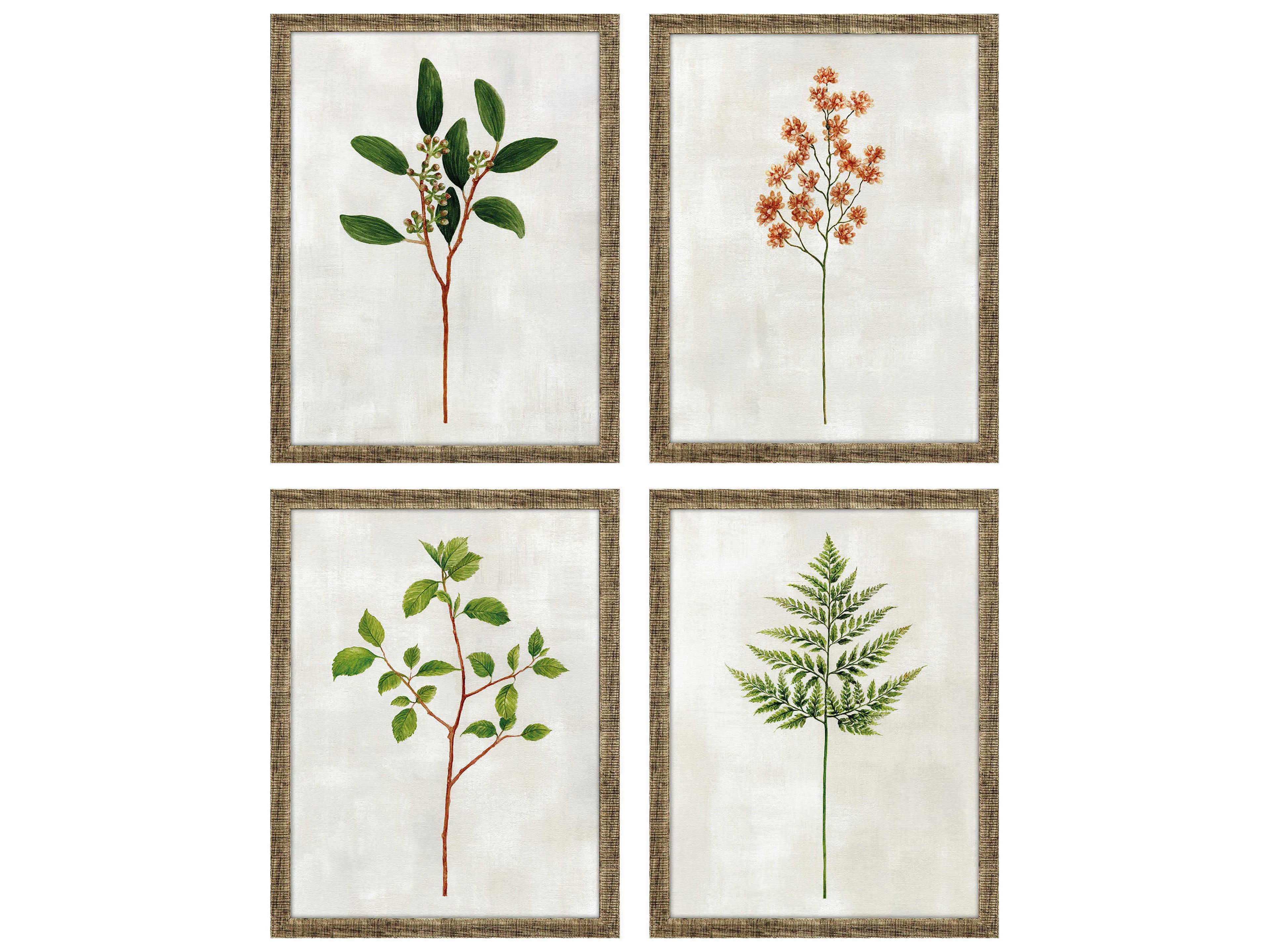 Paragon Florals Black Botanical-I Wall Art Set of 4