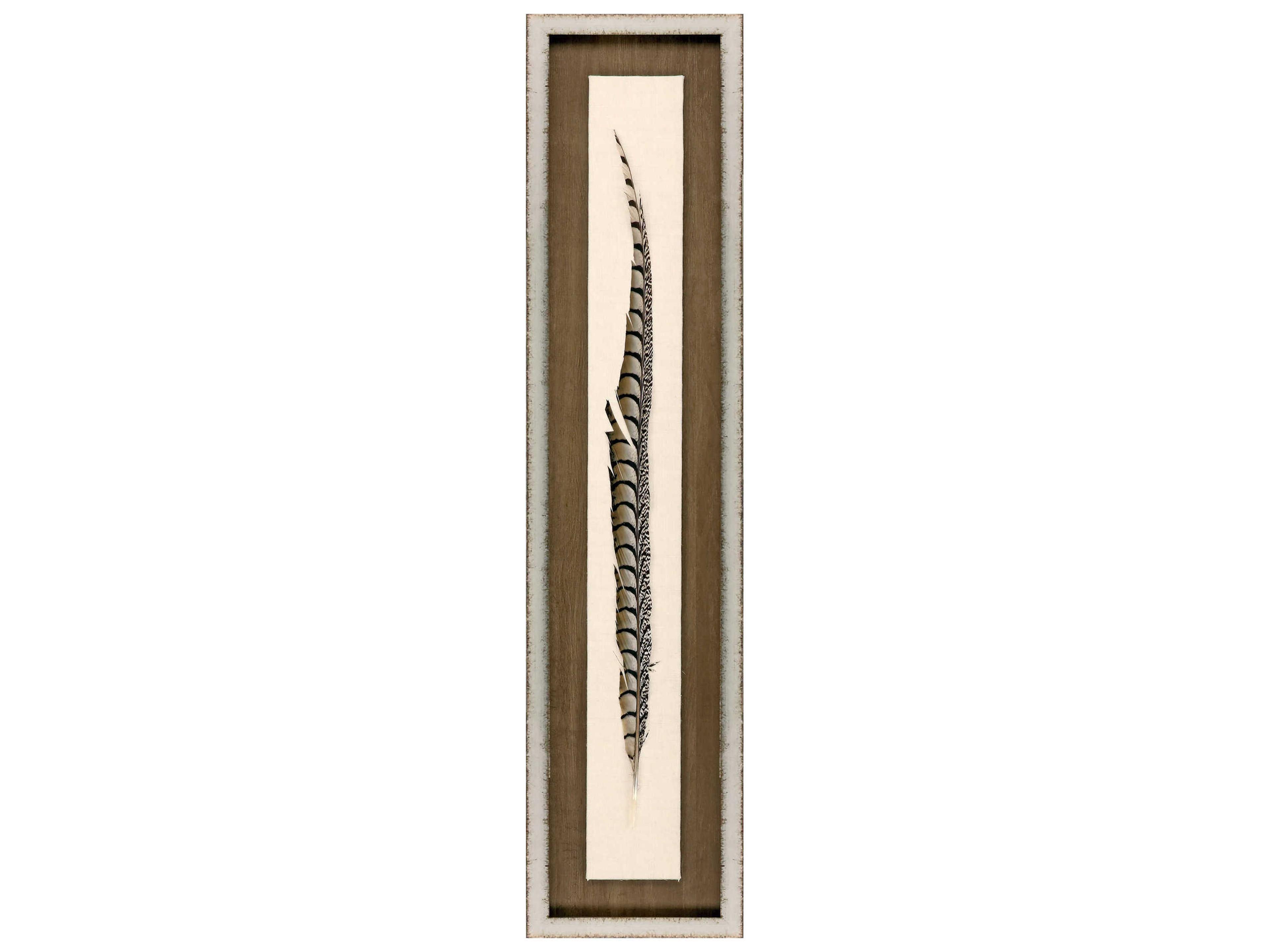 Paragon Lady Amhurst Feather Shadow Box