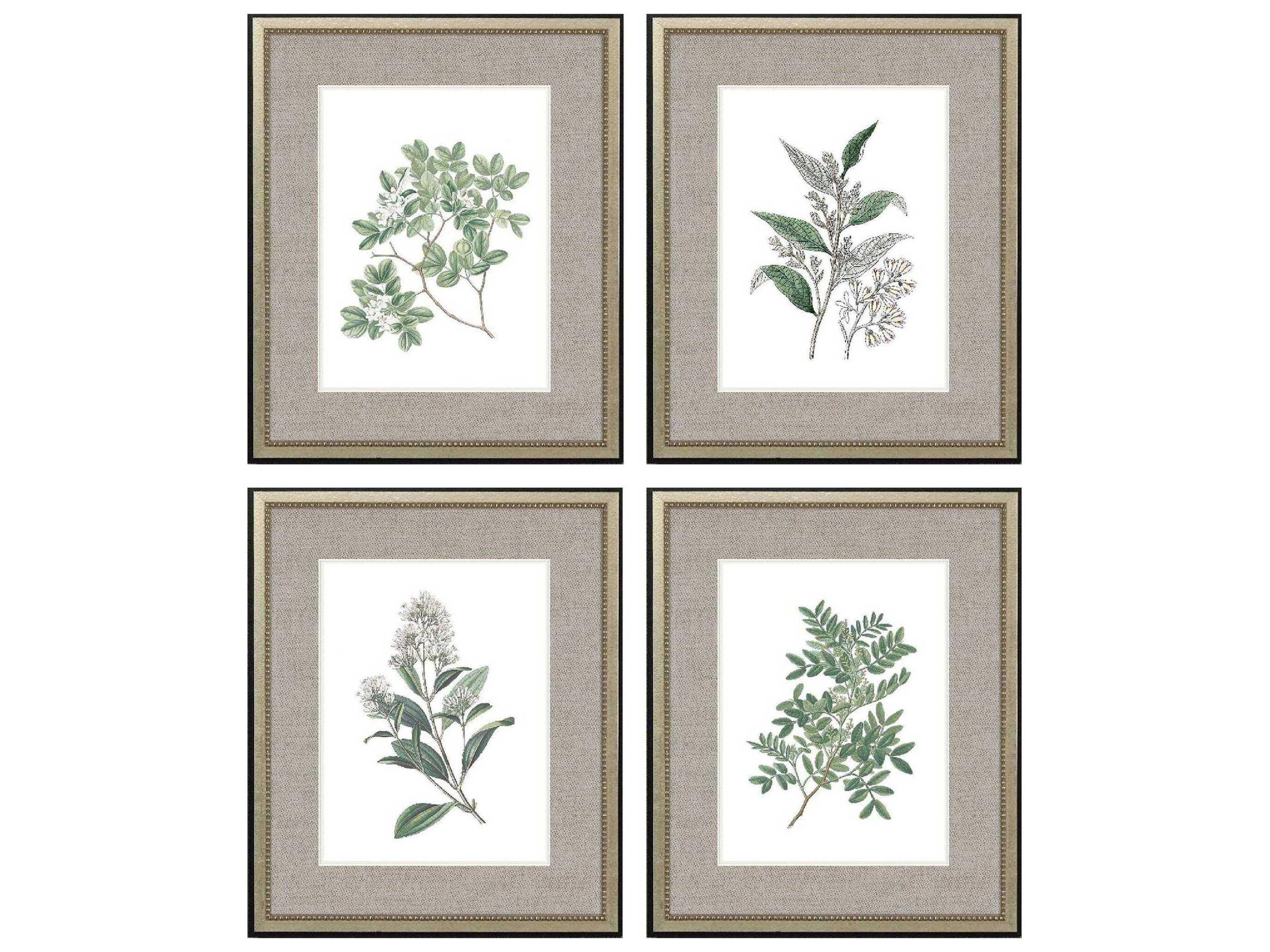 Paragon Florals White Flowers Wall Art Set of 4