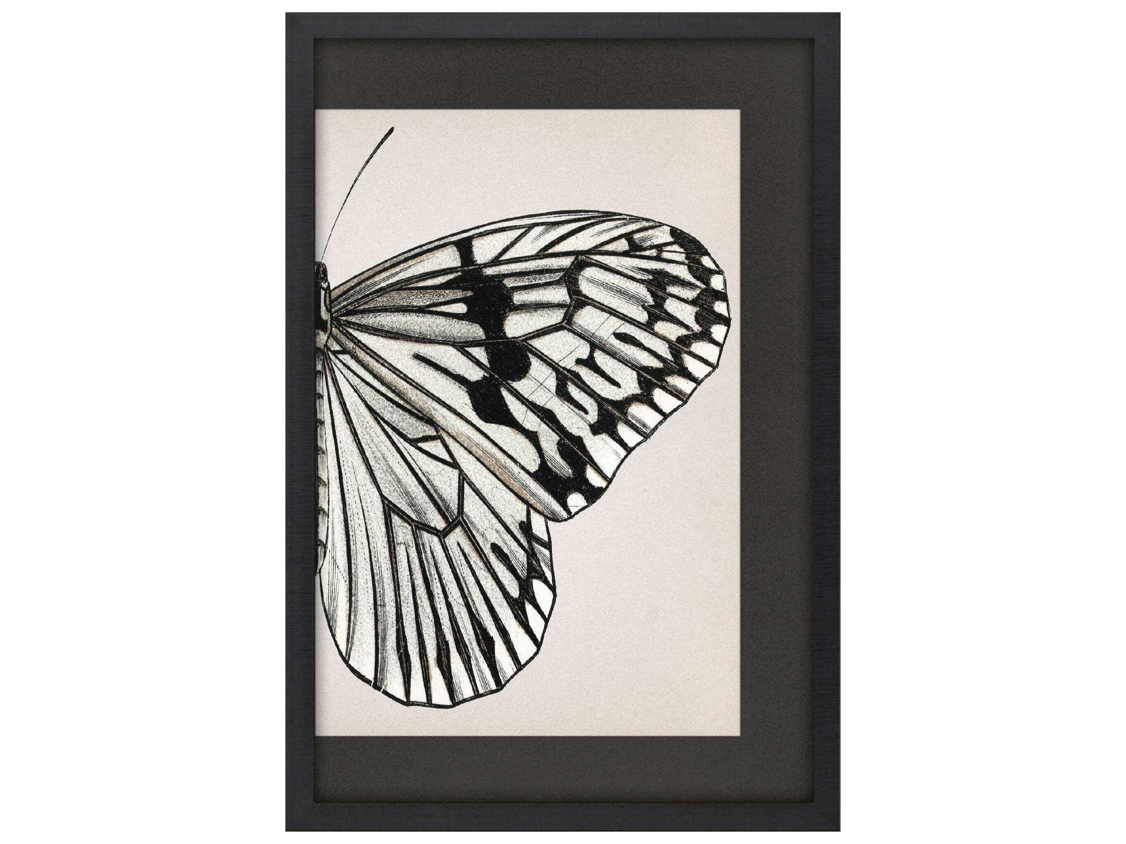 Paragon Animals Grand Butterfly-II Wall Art