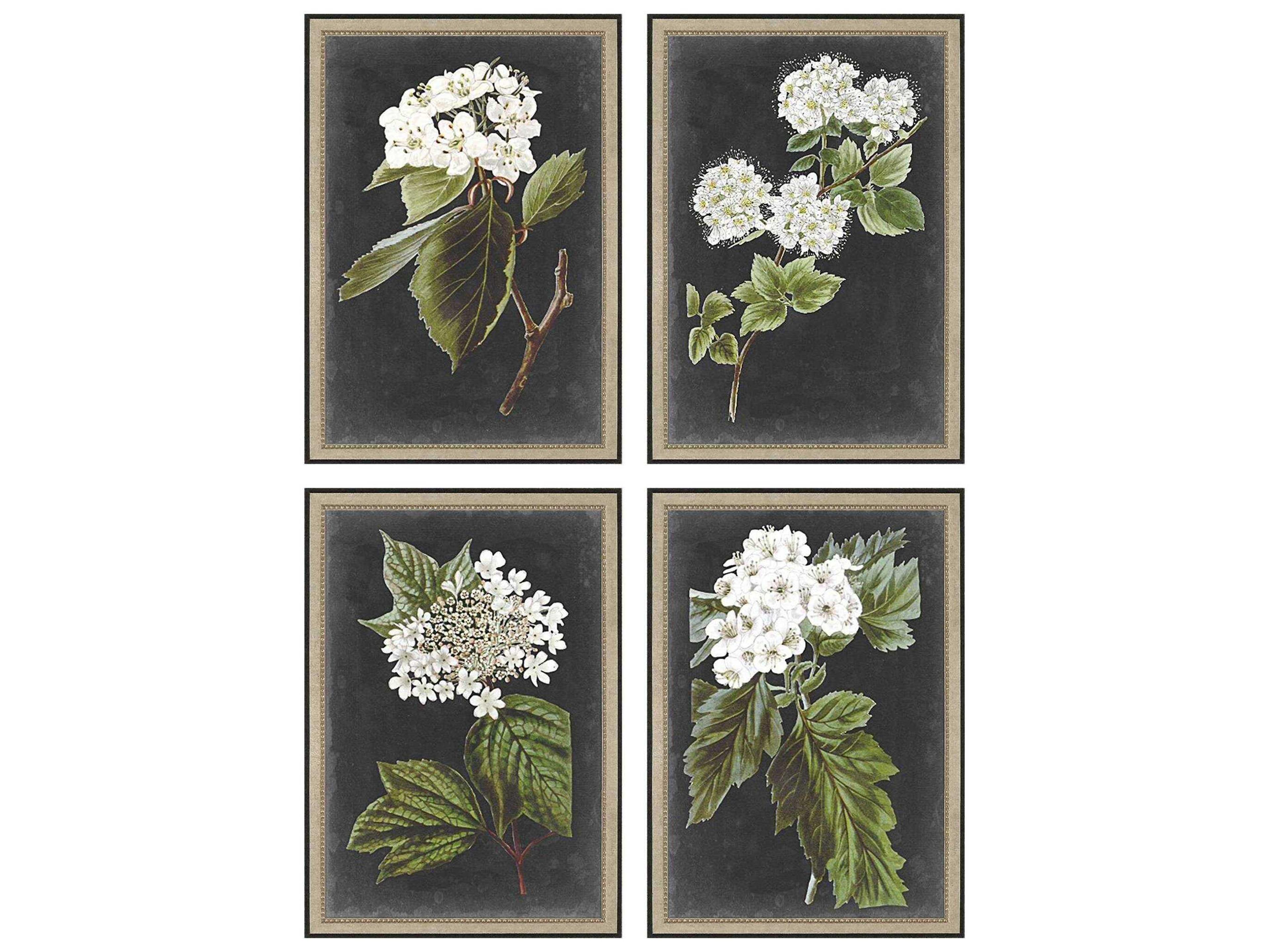 Paragon Florals Dramatic White Flower Wall Art Set of 4