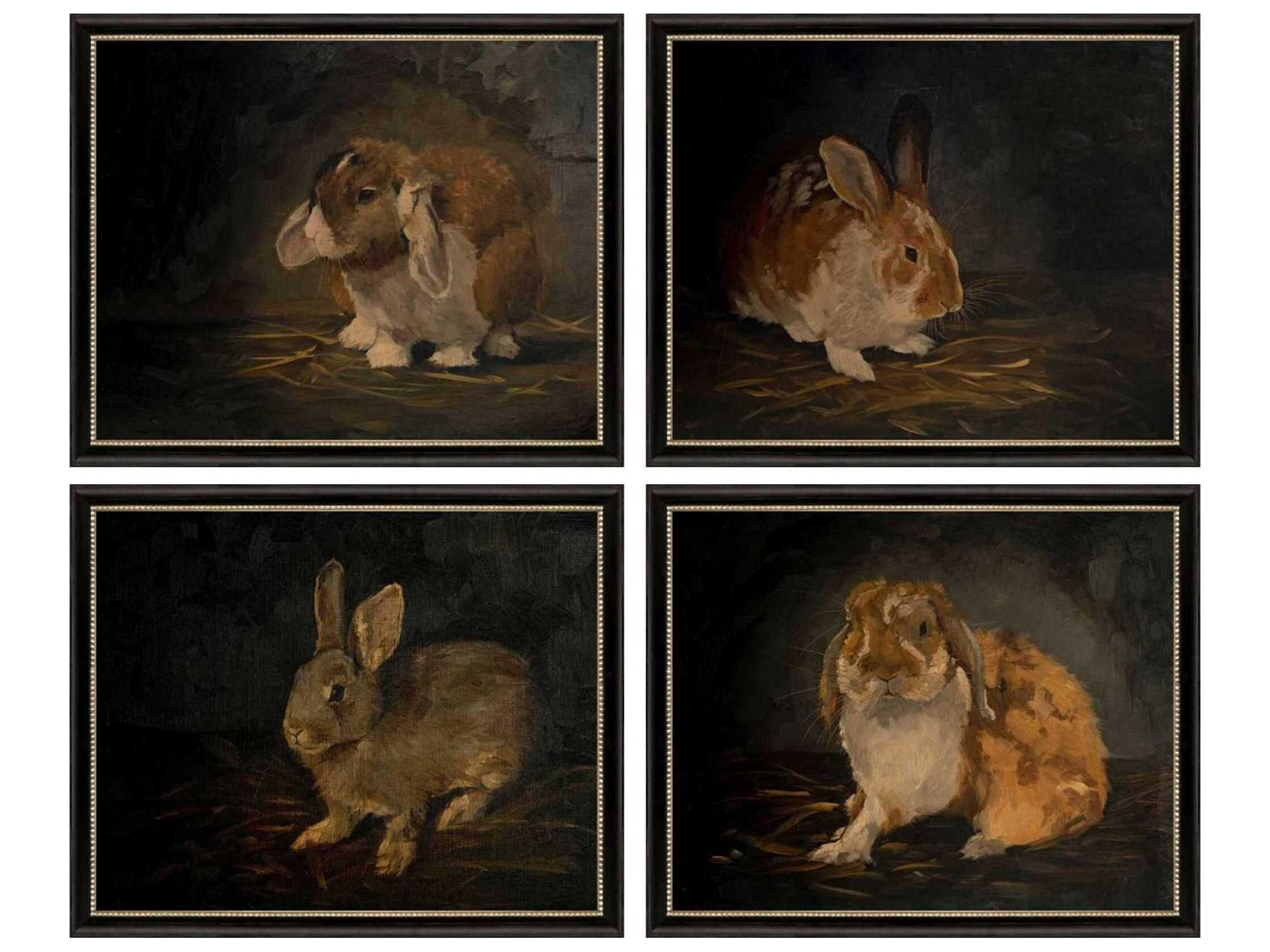 Paragon Animals Resting Bunny Wall Art Set of 4