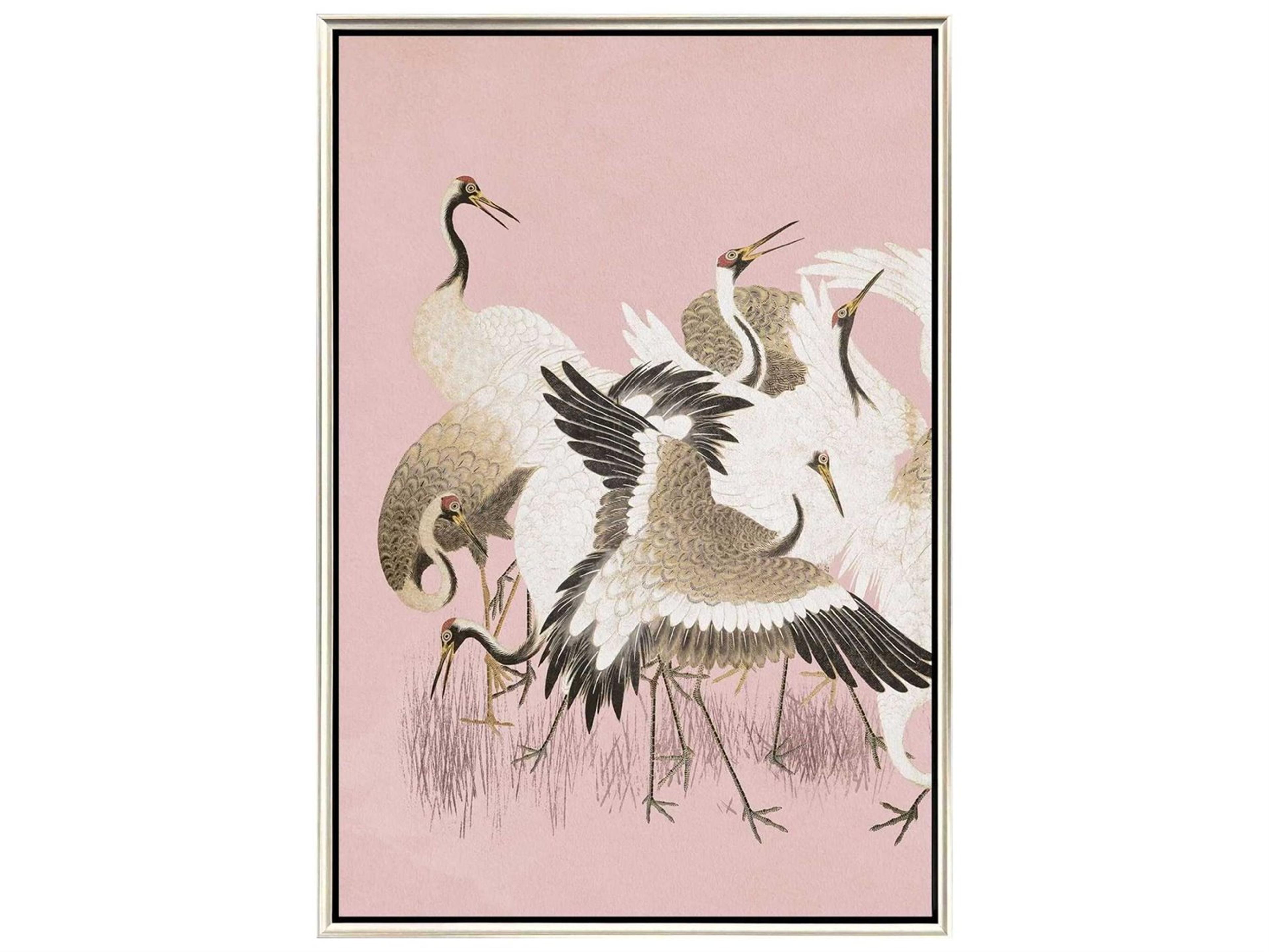 Paragon Animals Curious Cranes - Plumule Canvas Wall Art