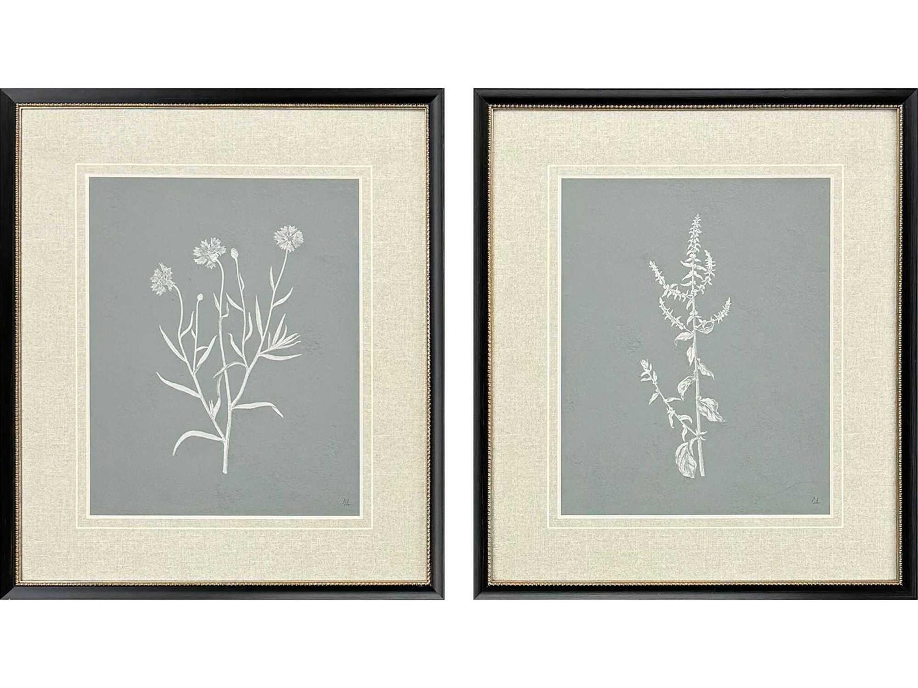 Paragon Florals Nature's Gift-II Wall Art Set of 2