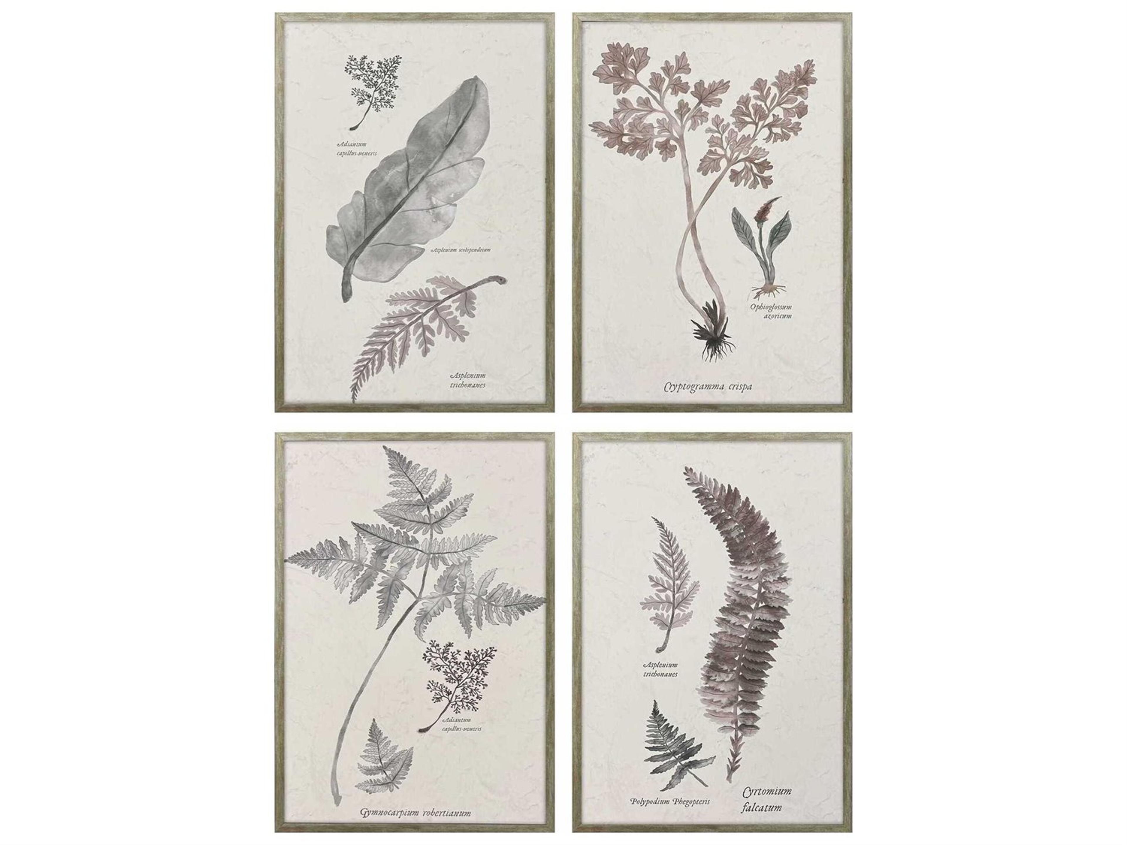 Paragon Florals Fern Study Wall Art Set of 4