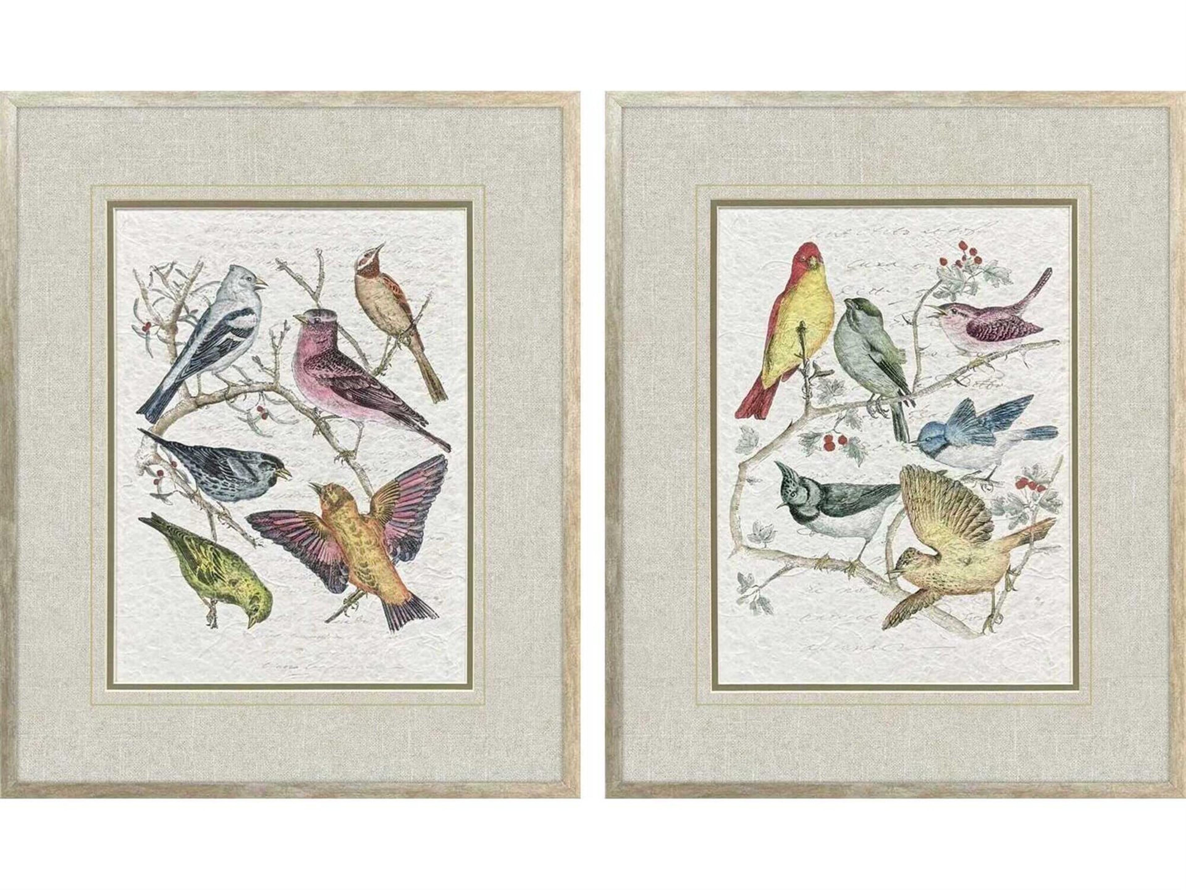Paragon Animals Bird Variety Wall Art Set of 2