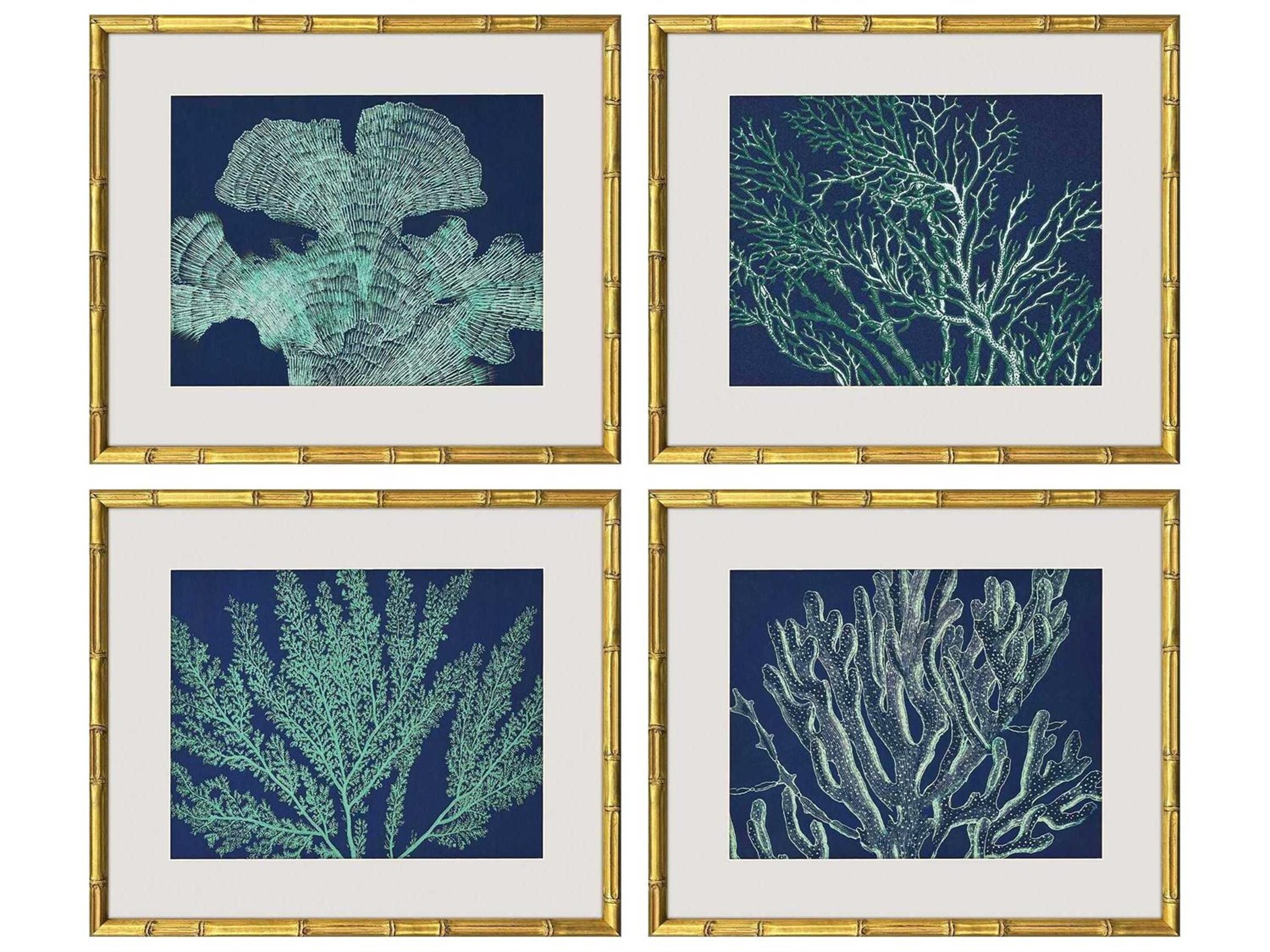Paragon Naturals Sea Garden Wall Art Set of 4