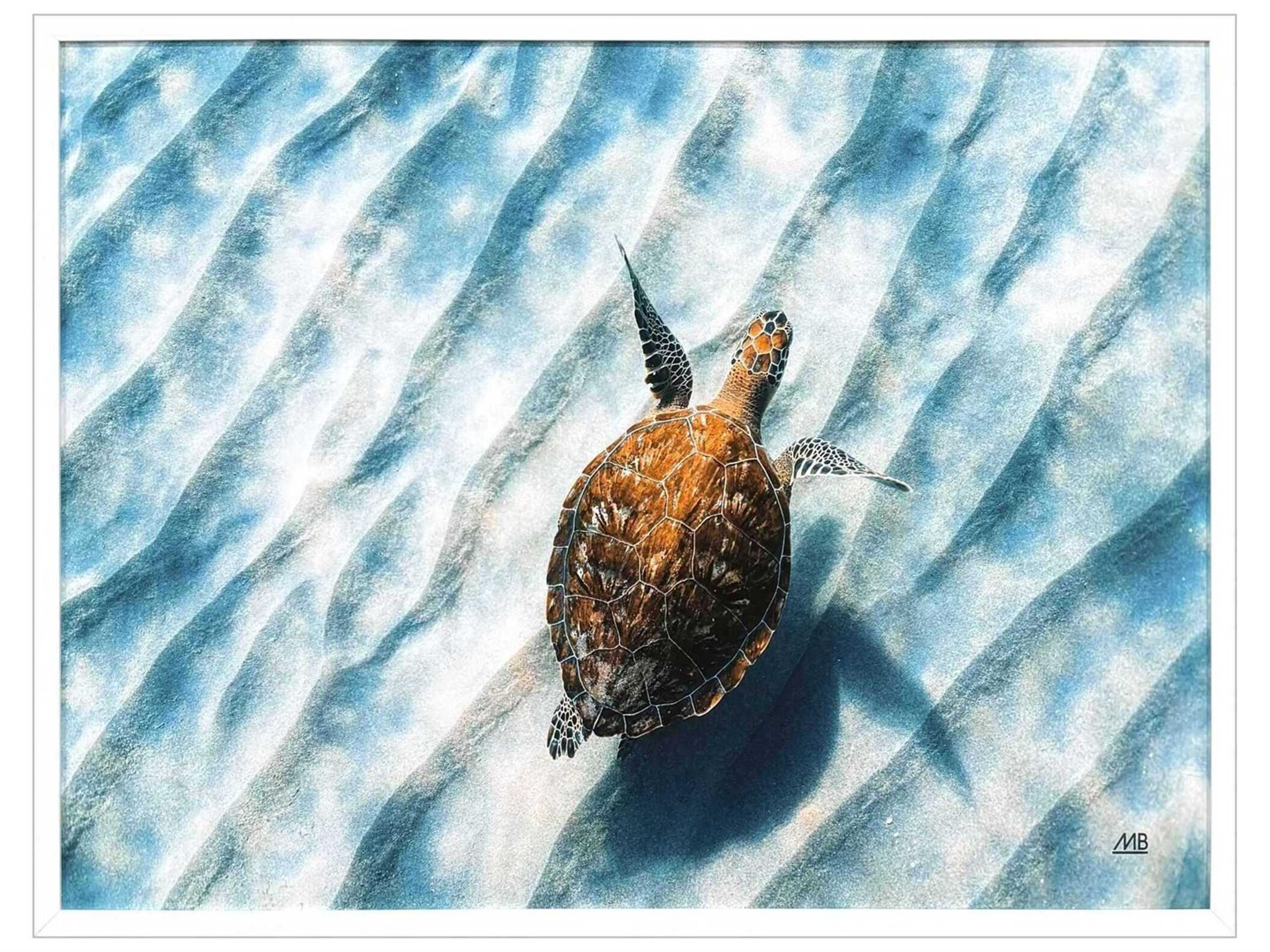 Paragon Animals Sandbar Sea Turtle Wall Art