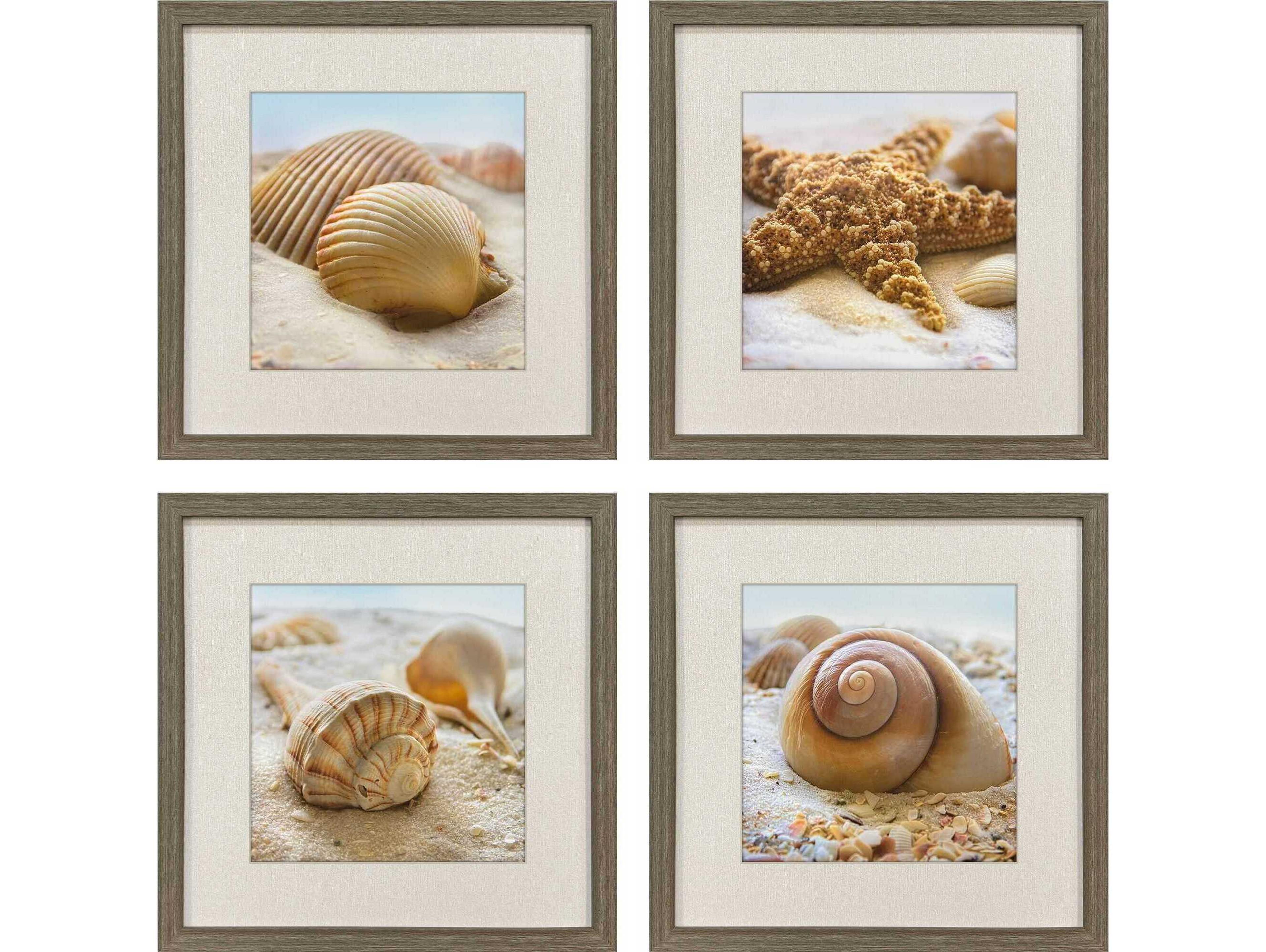 Paragon Naturals Beachy Shells Wall Art Set of 4