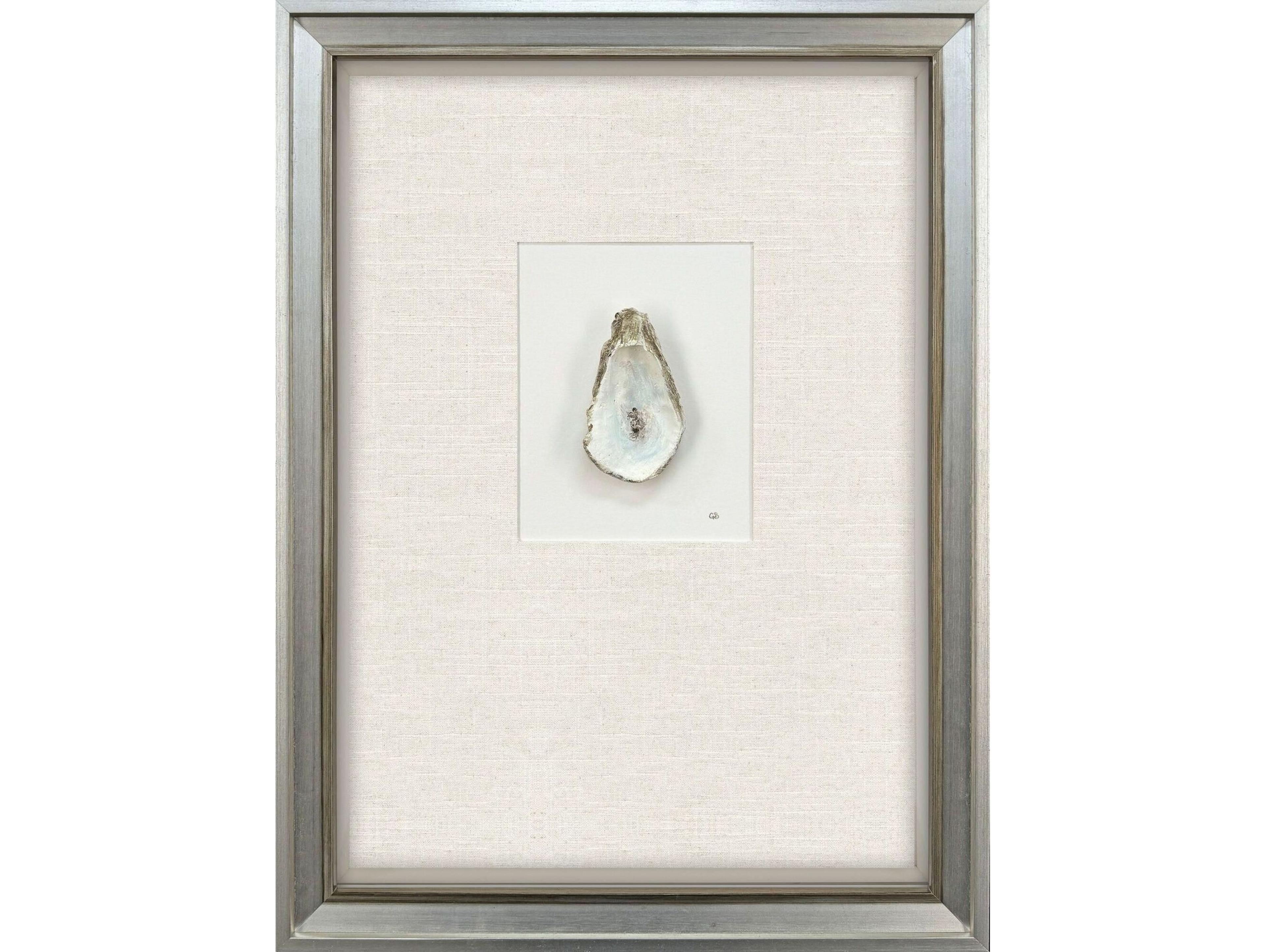 Paragon Oyster In Paradise I Shadow boxes