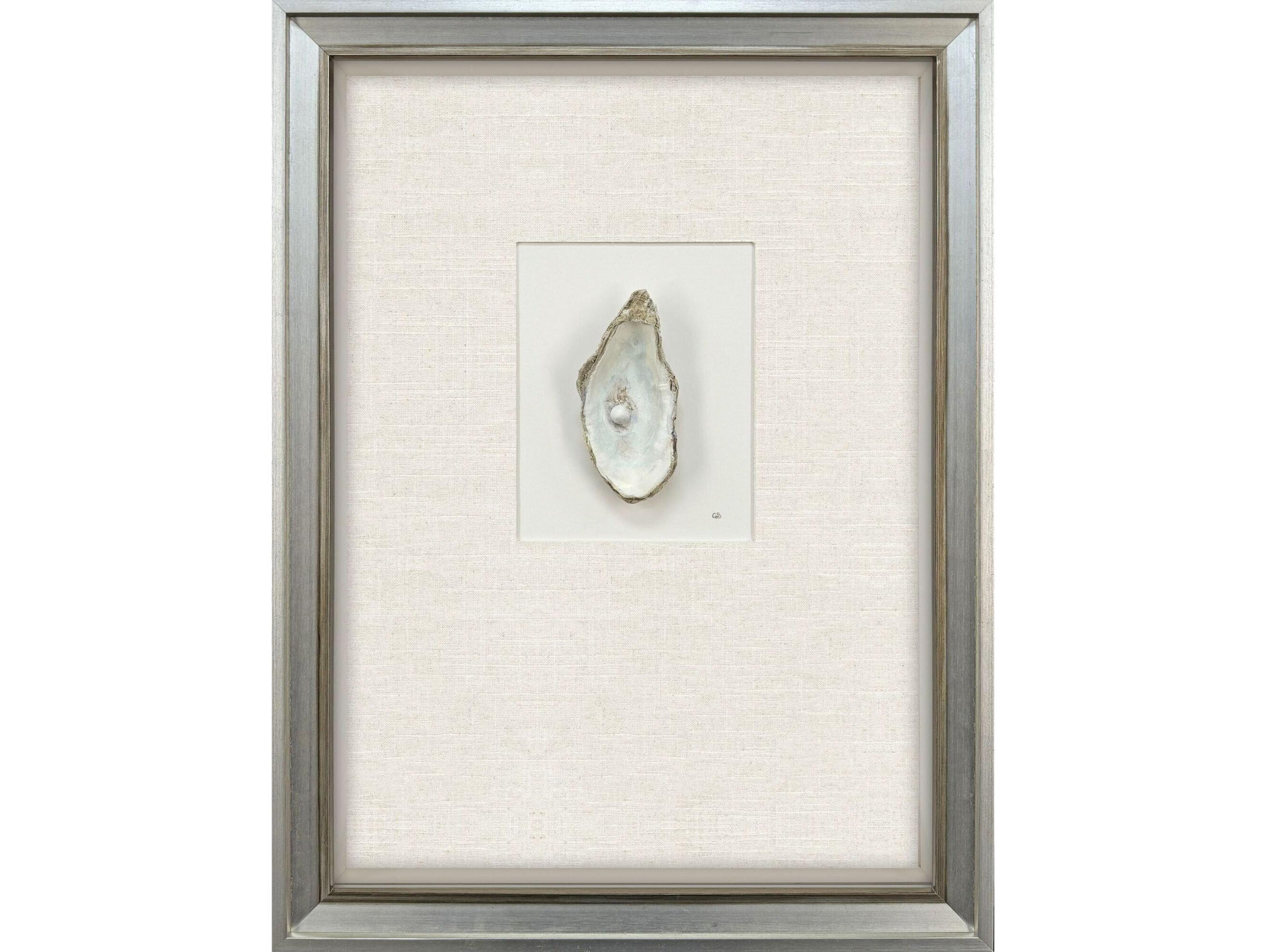 Paragon Oyster In Paradise II Shadow boxes