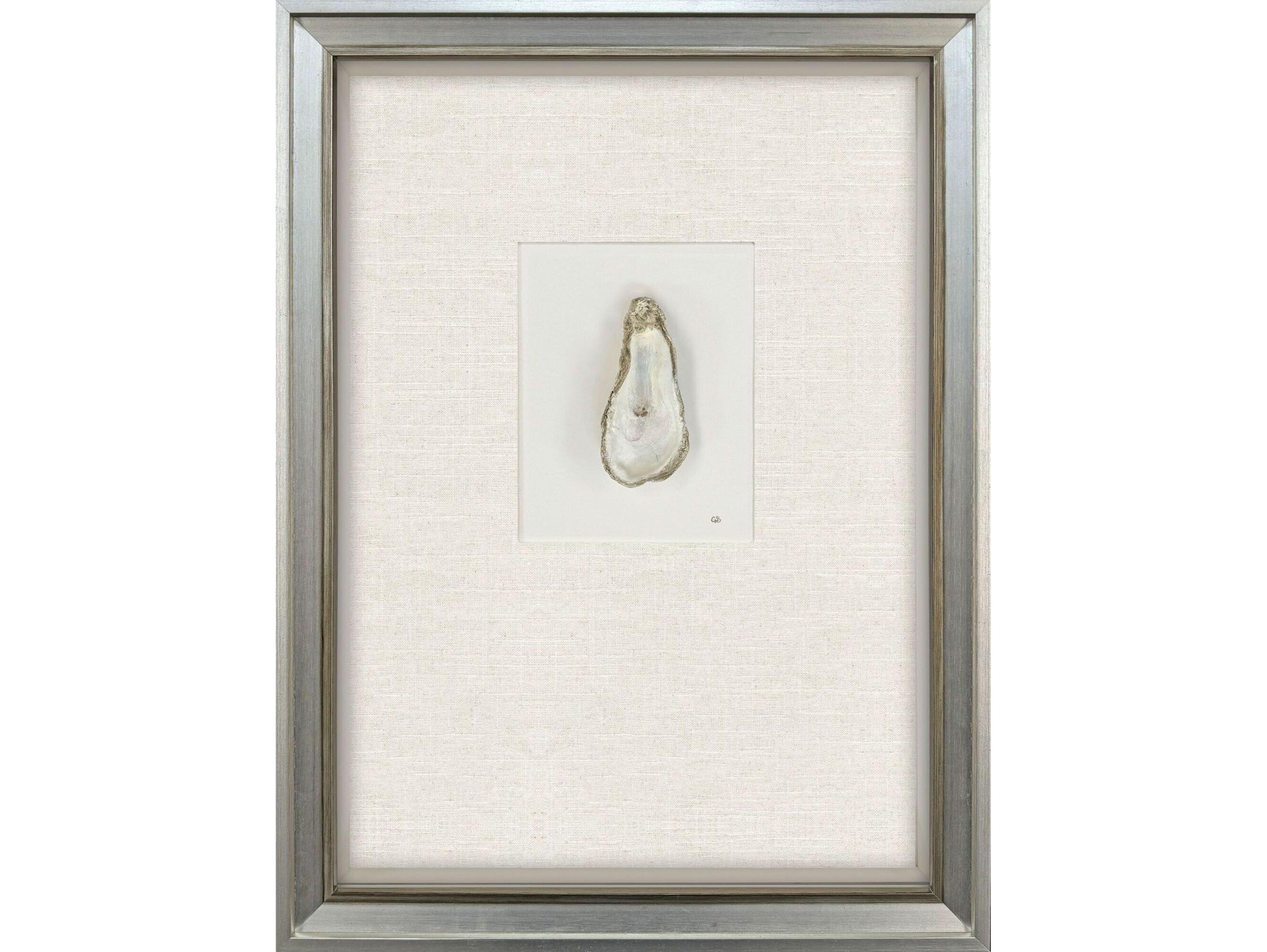 Paragon Oyster In Paradise III Shadow boxes