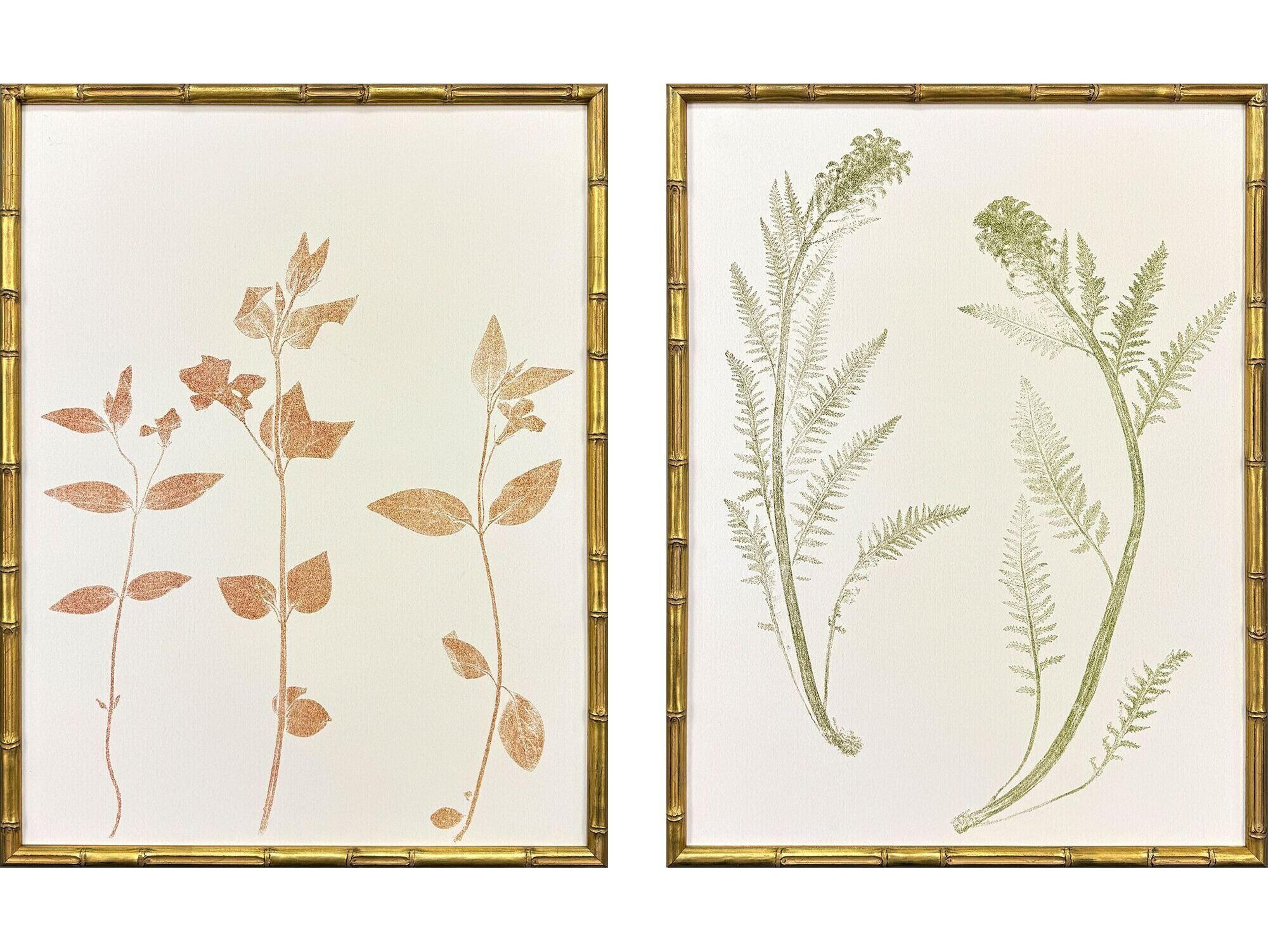 Paragon Floral Trace I Framed Art - Set of 2