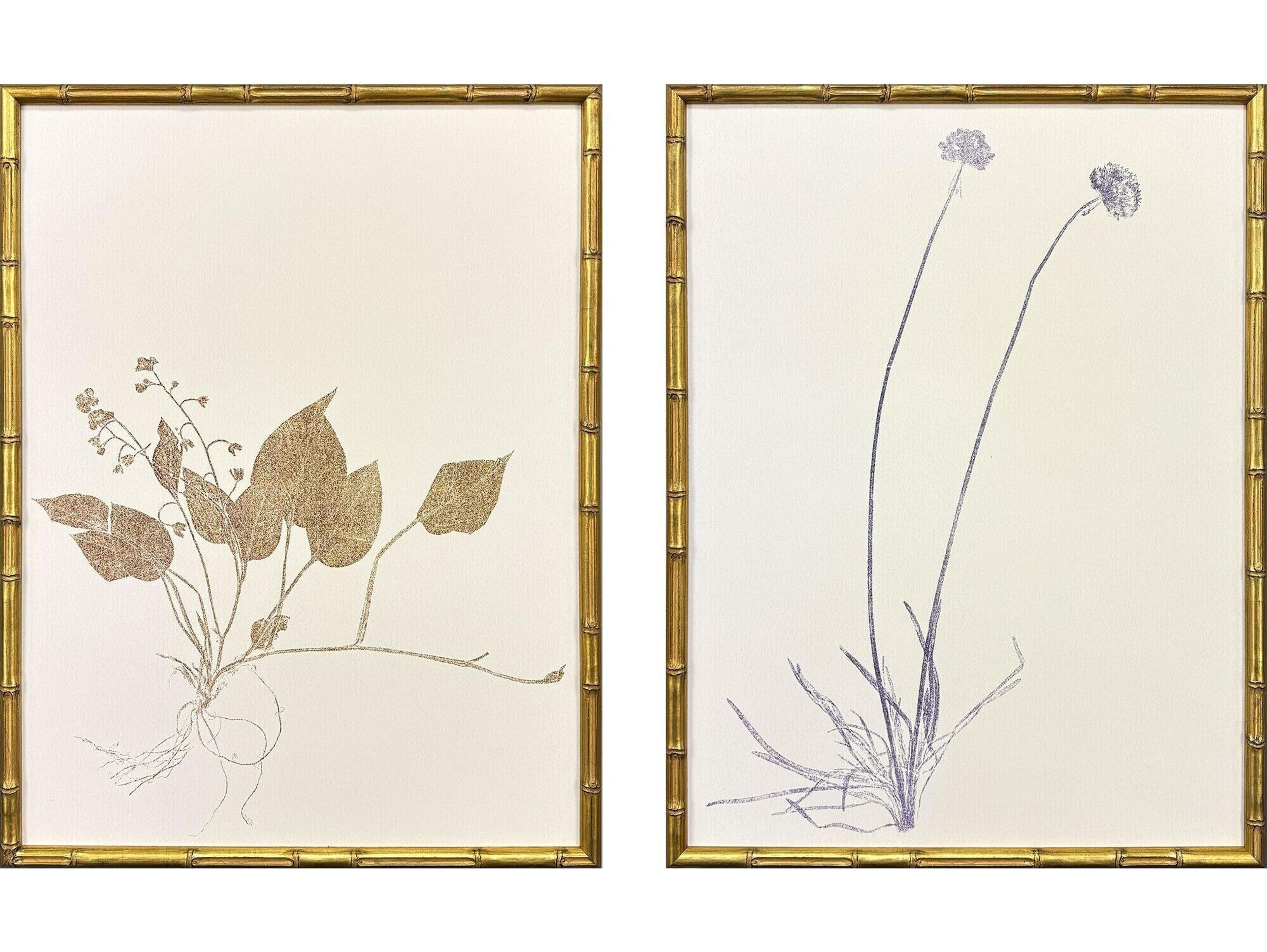 Paragon Floral Trace II Framed Art - Set of 2