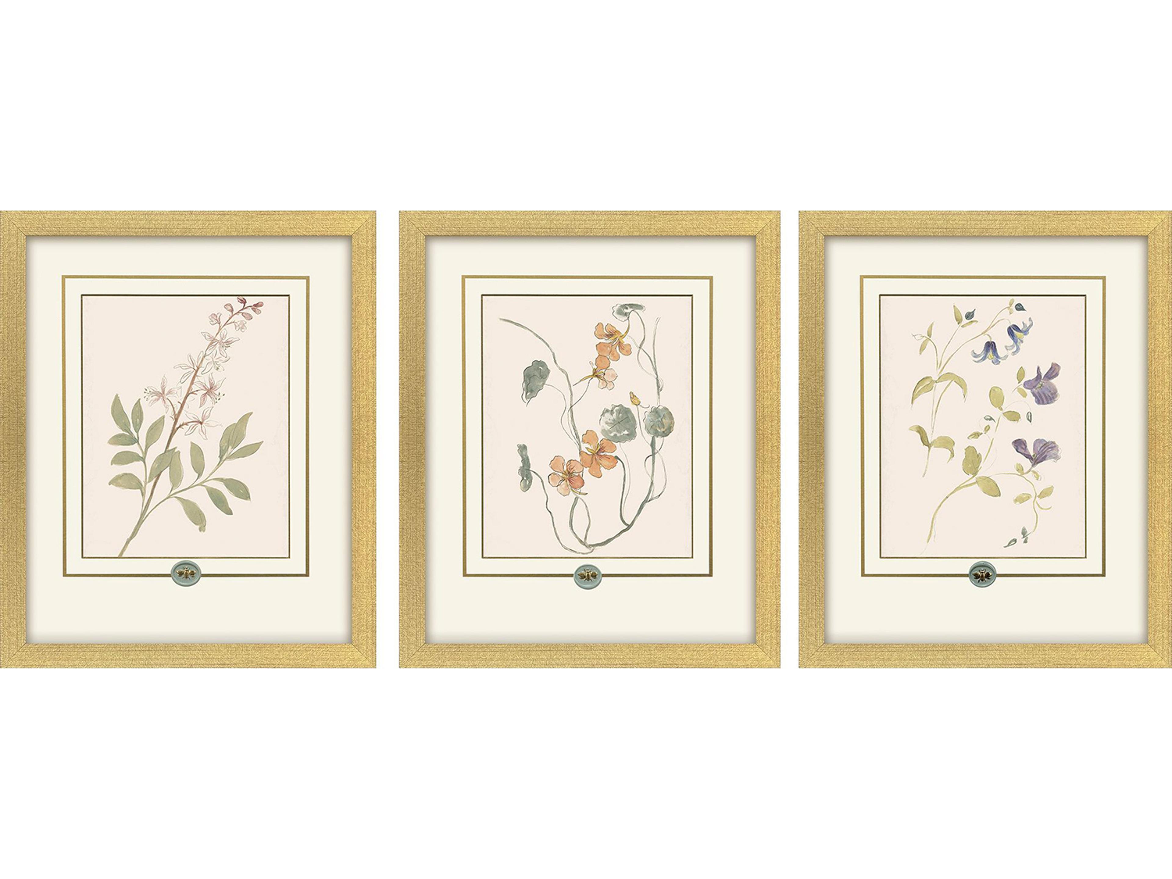Paragon Garden Study I Framed Art - Set of 3