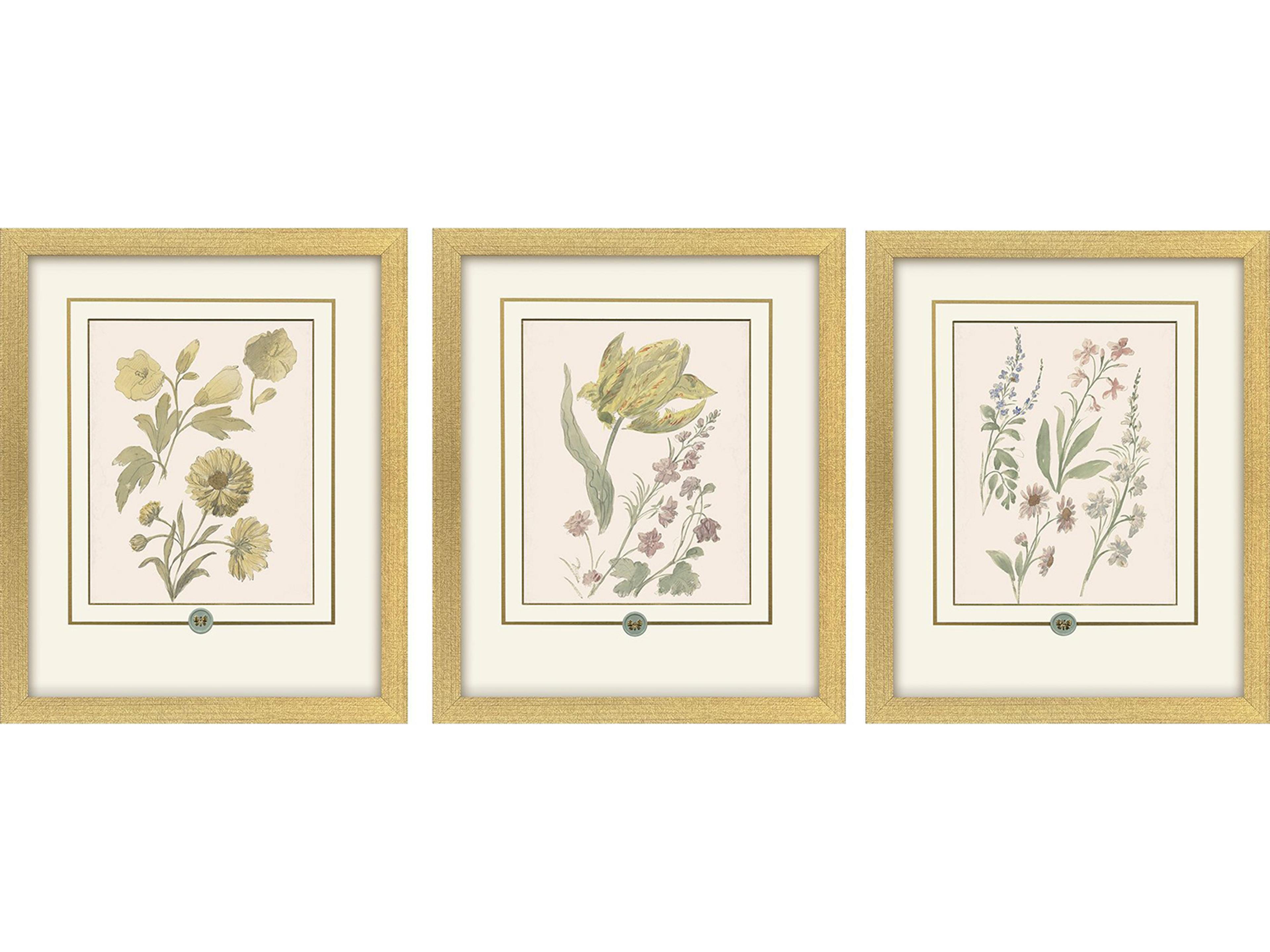 Paragon Garden Study III Framed Art - Set of 3