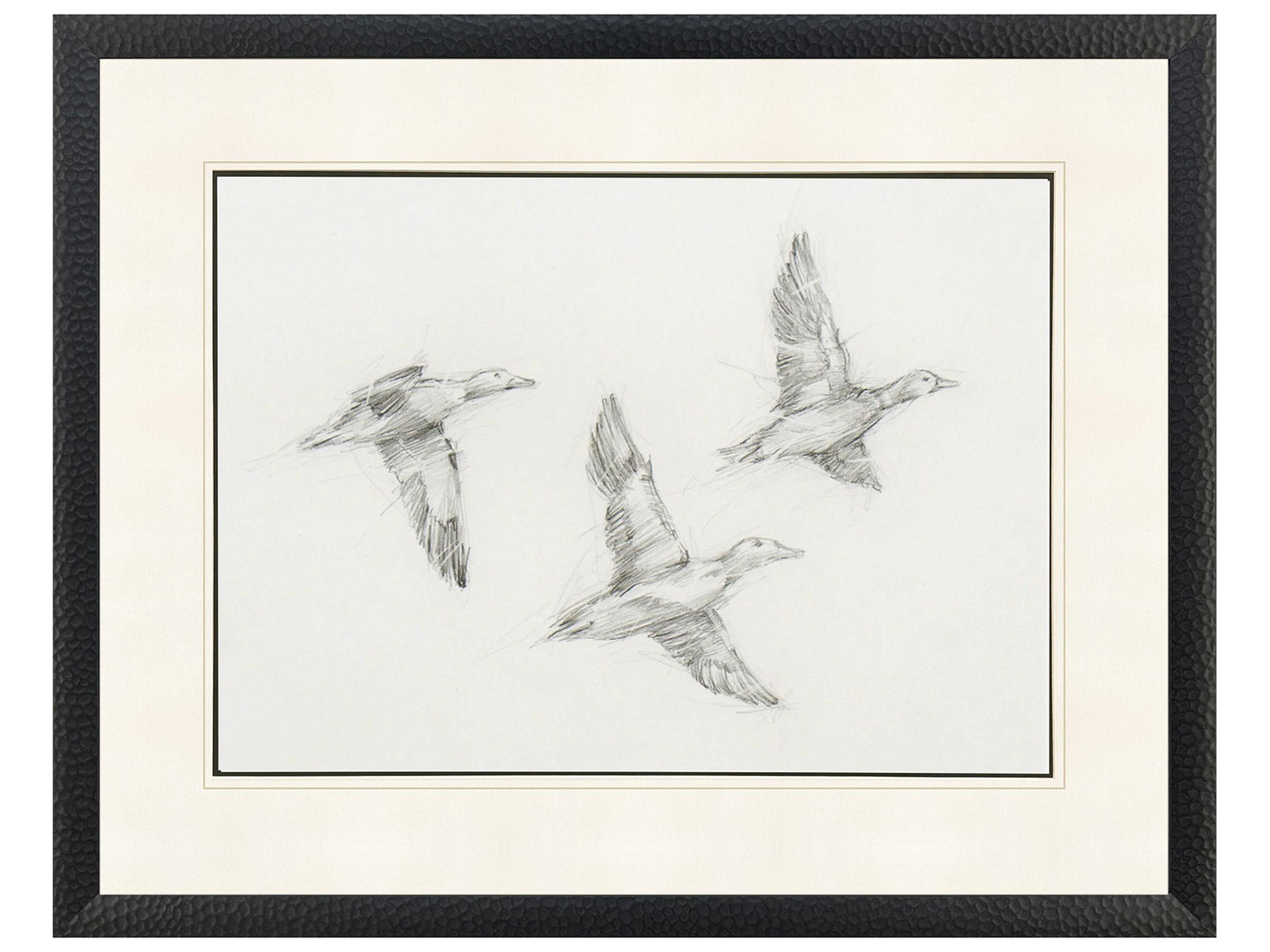 Paragon Mallard Duck Sketch I Framed Art