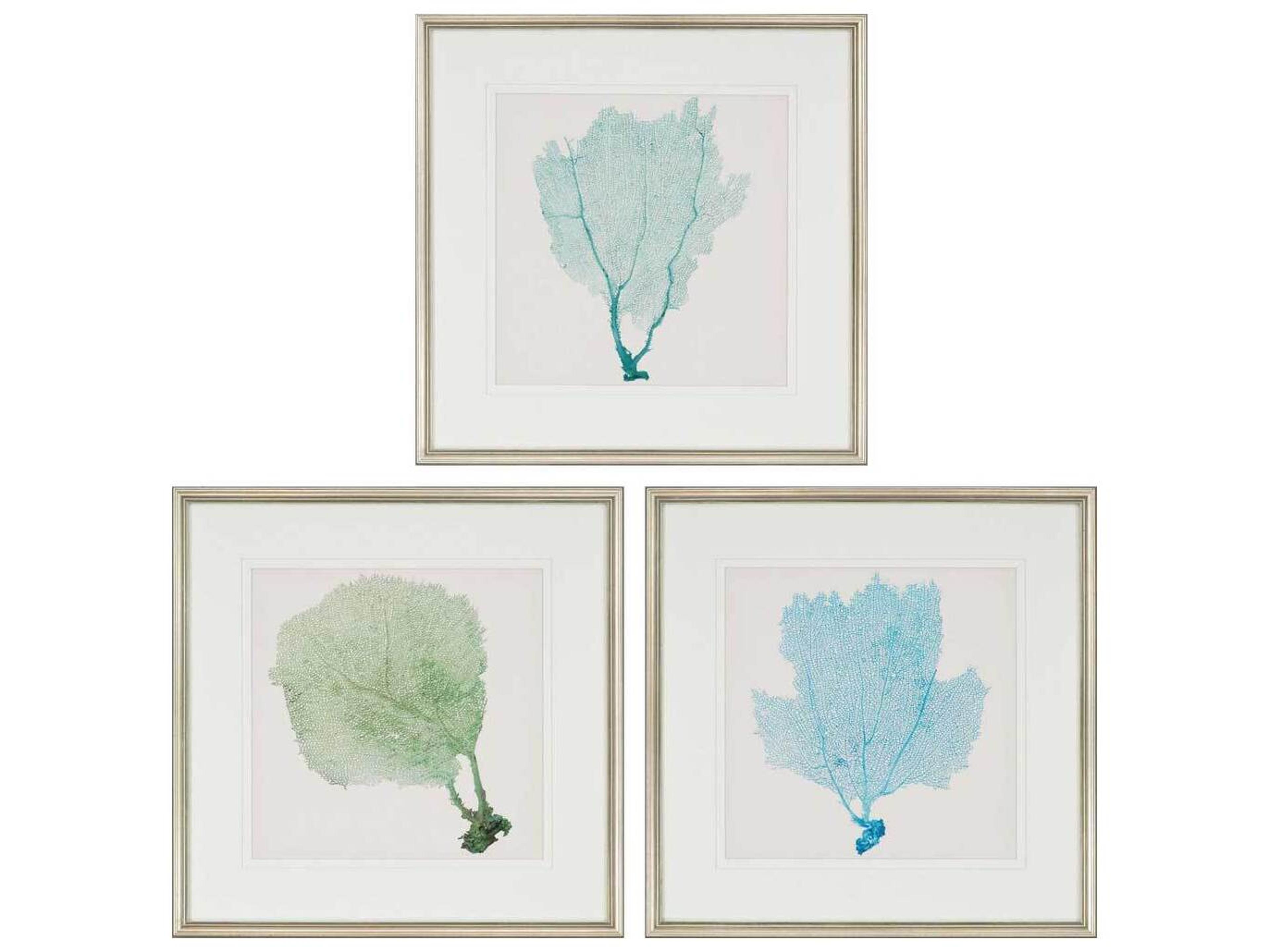 Paragon Naturals Sea Fan-I Wall Art Set of 3