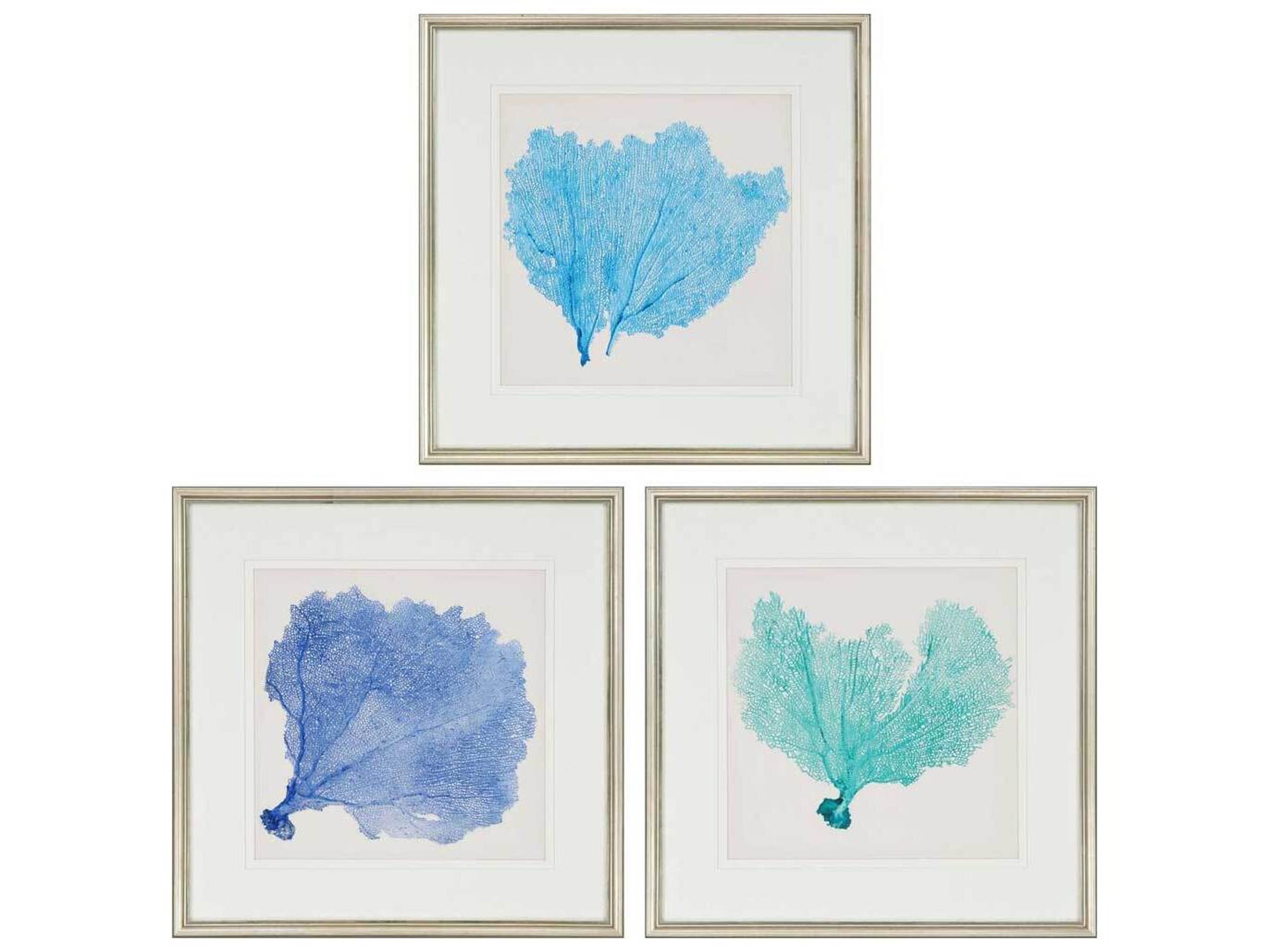 Paragon Naturals Sea Fan-II Wall Art Set of 3
