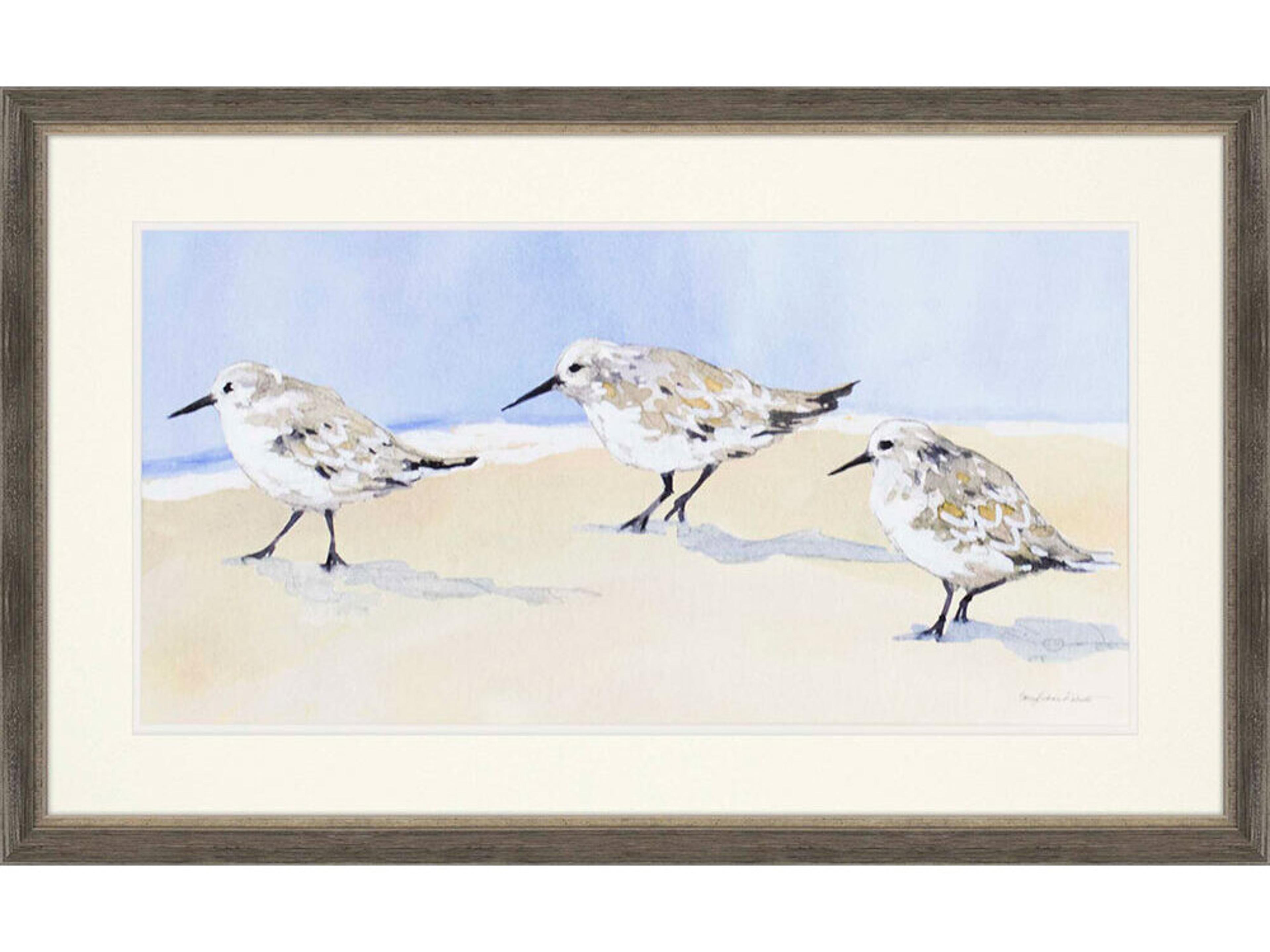 Paragon Animals Sandpipers-I Wall Art