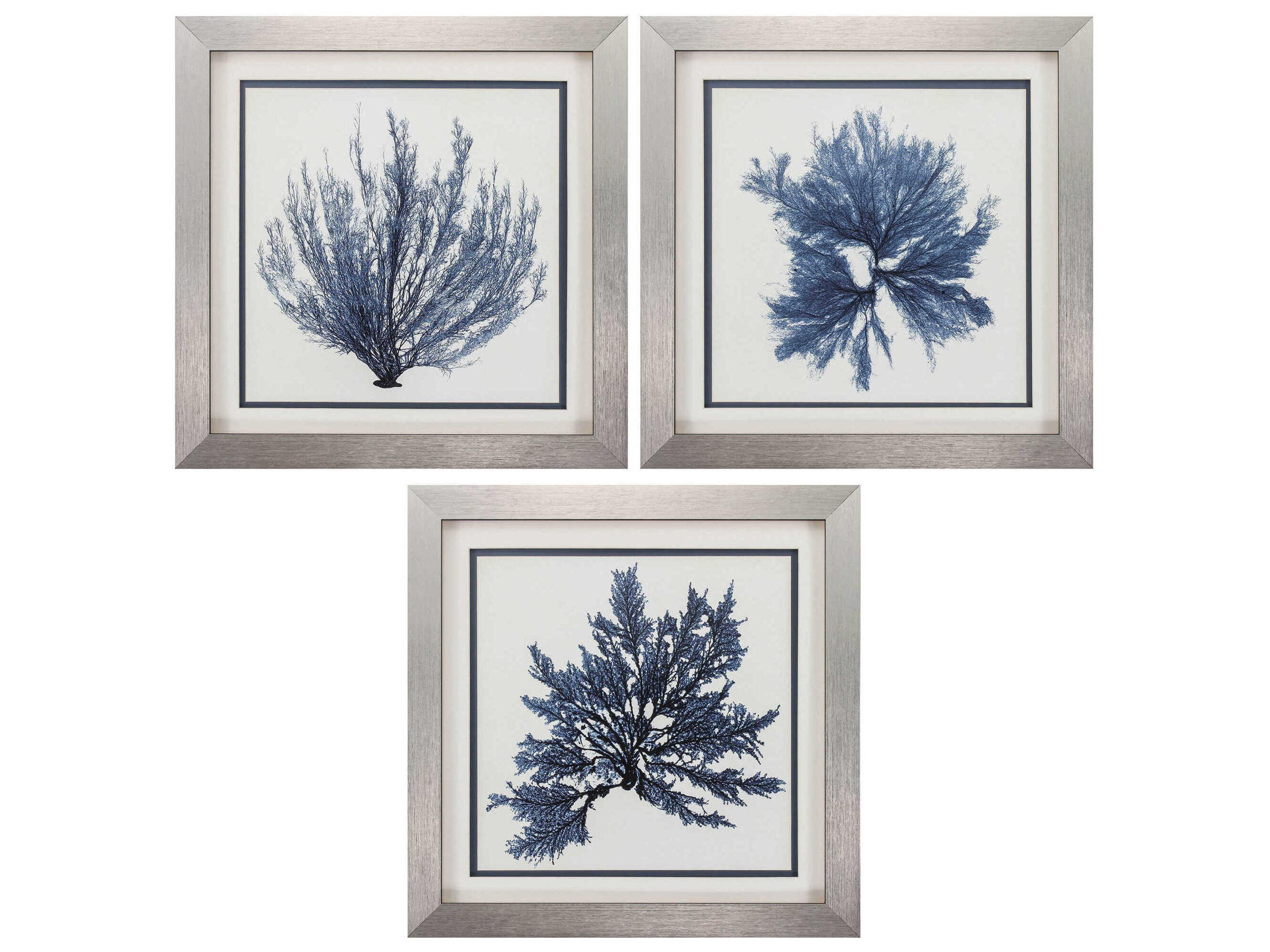 Paragon Waterside Coastal Seaweed Wall Art Set of 3