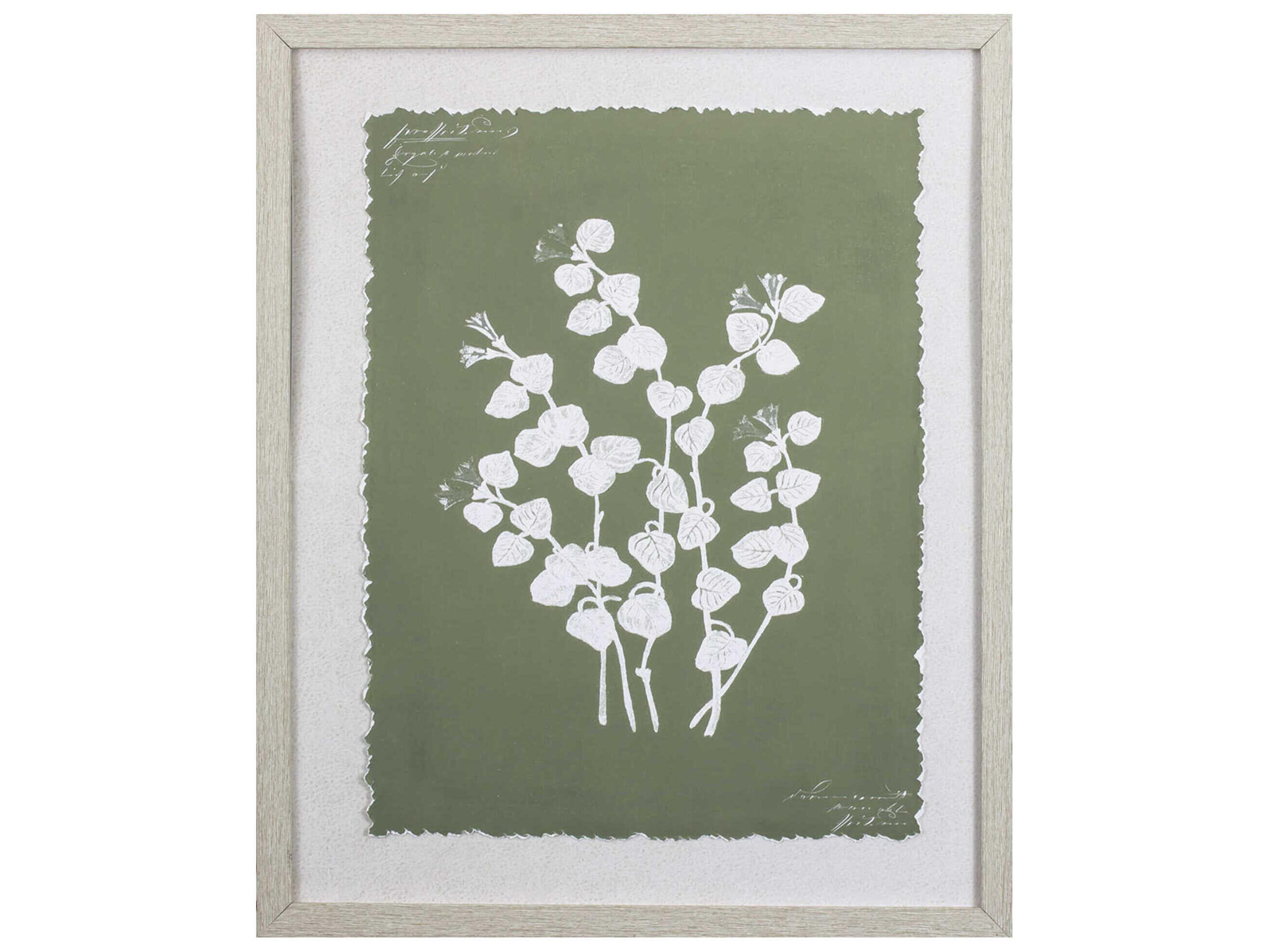 Paragon Florals Botanical Garden-II Wall Art