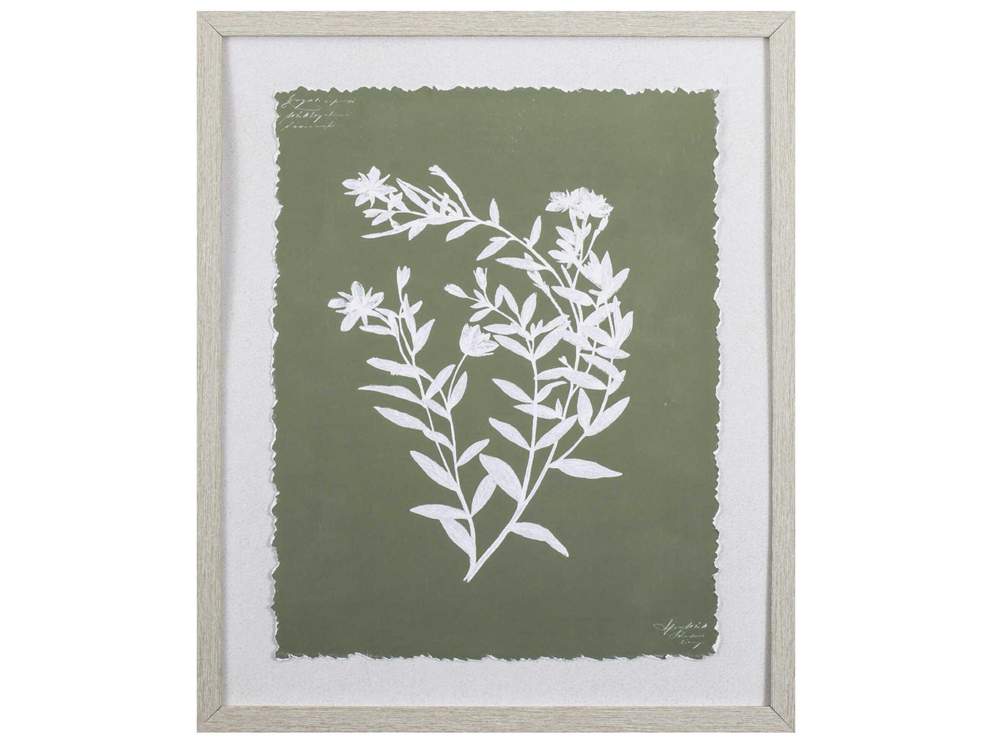 Paragon Florals Botanical Garden-III Wall Art