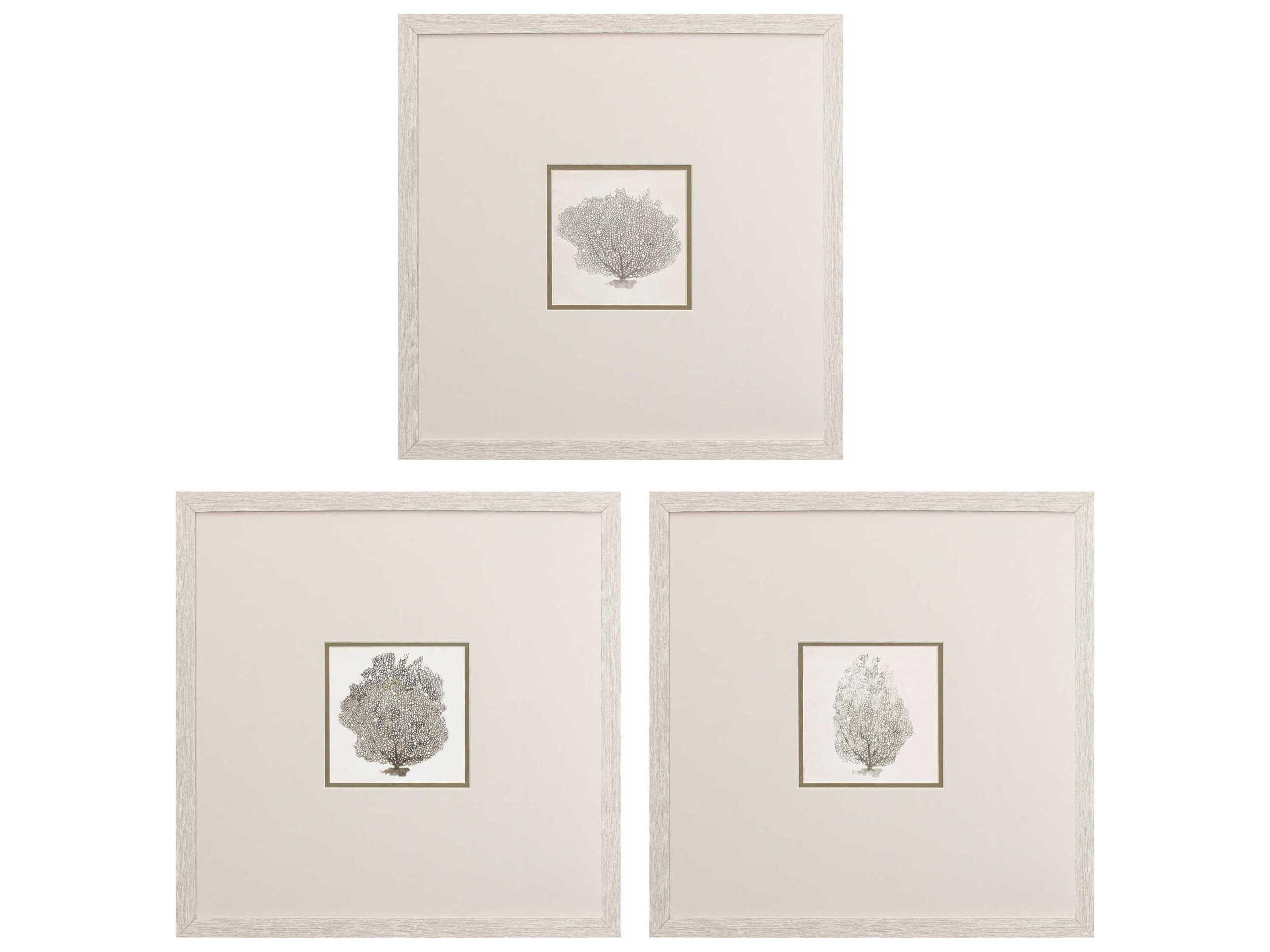 Paragon Waterside Corals-A Wall Art Set of 3