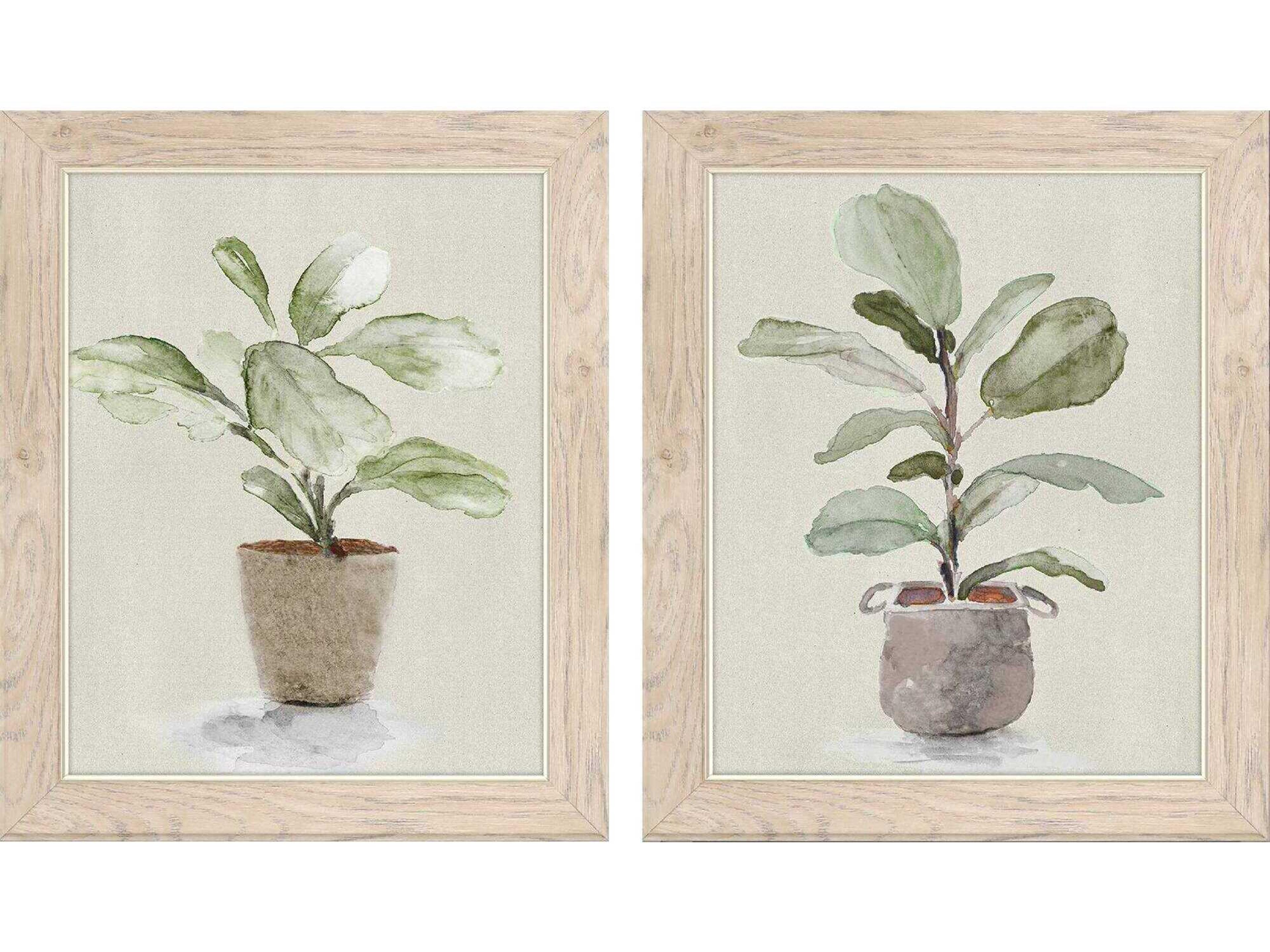 Paragon Florals Fiddle Fig Tree Wall Art Set of 2