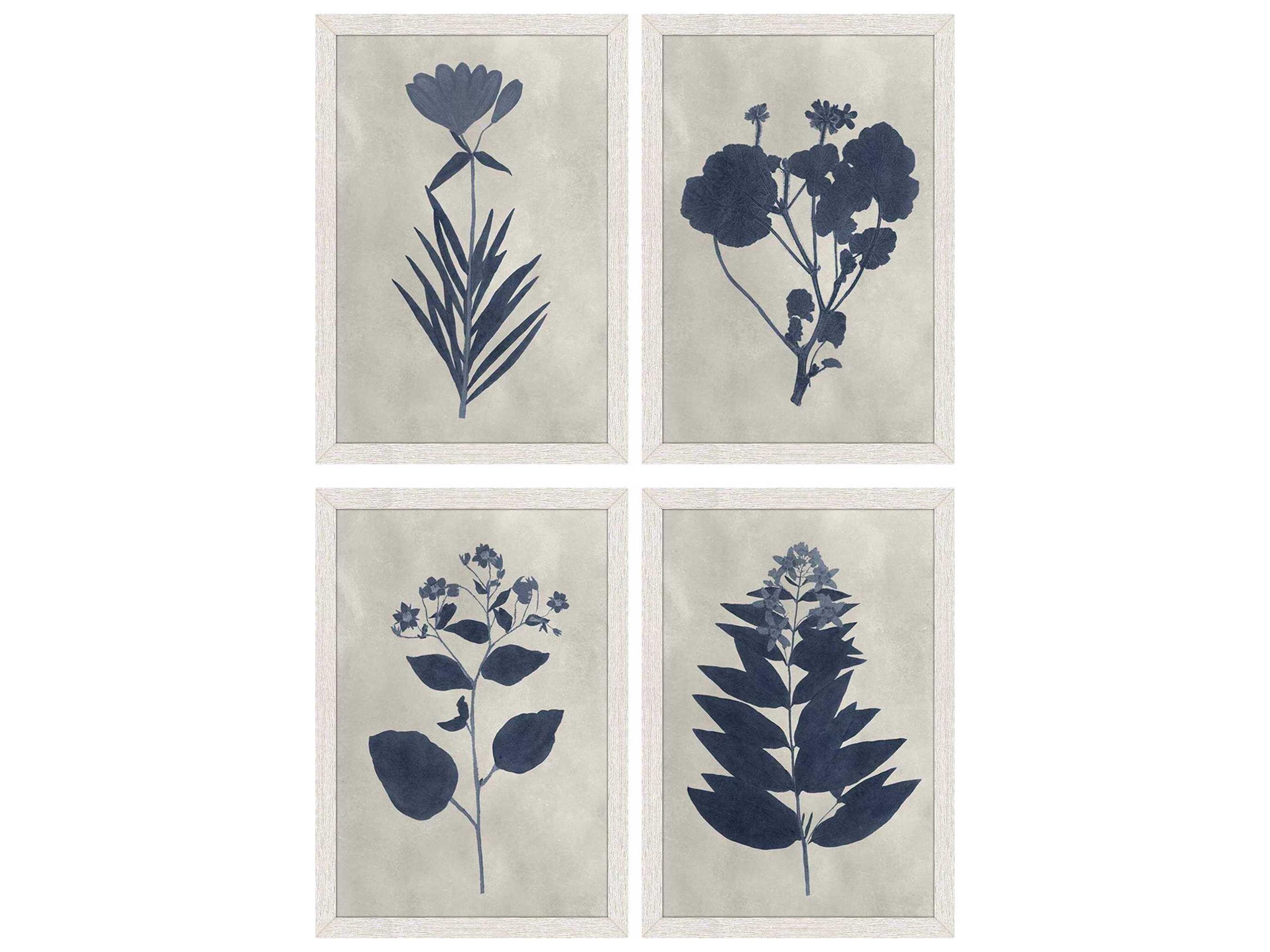 Paragon Florals Pressed Flower-I Wall Art Set of 4