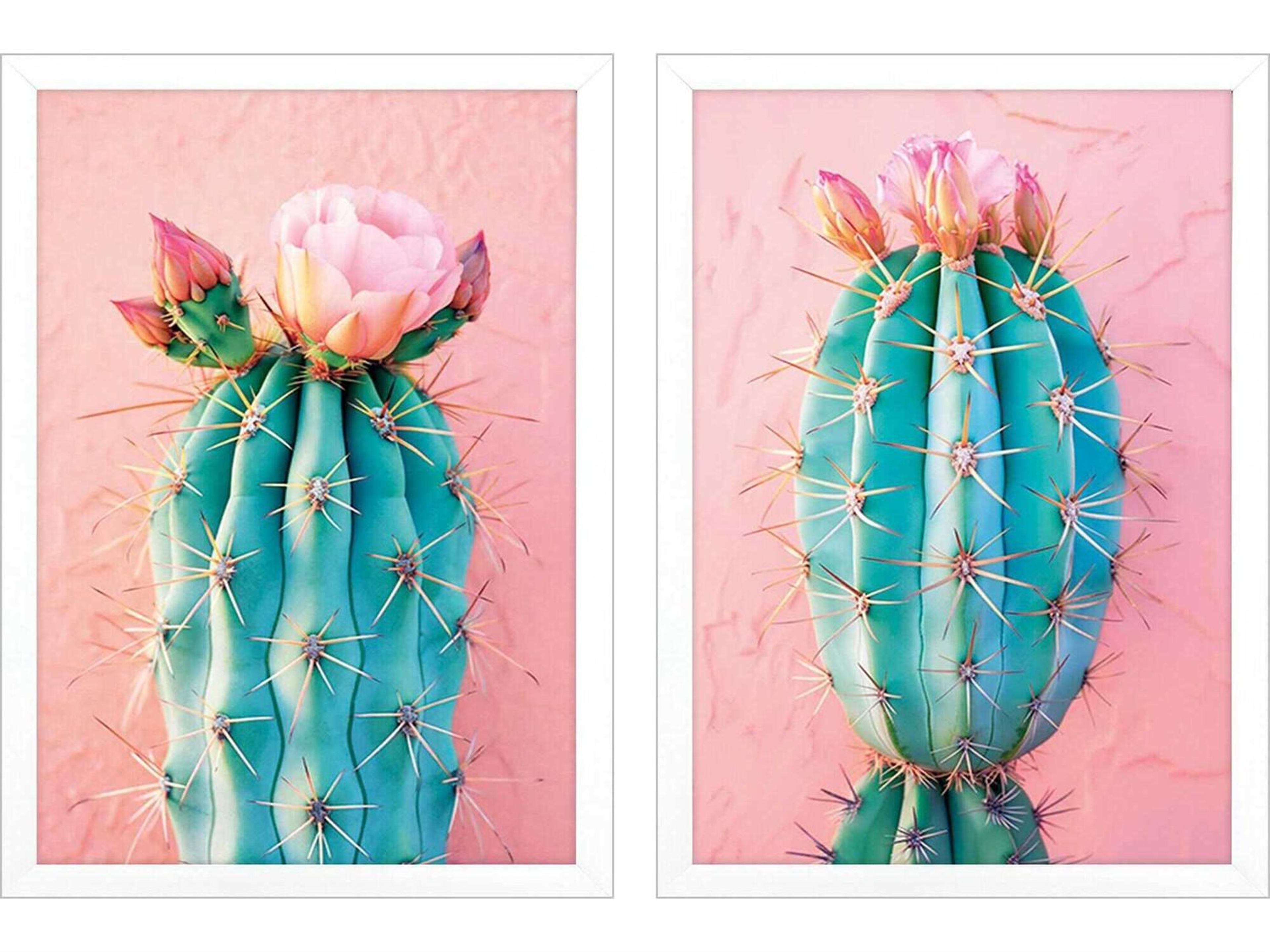 Paragon Florals Blush Botanicals-II Wall Art Set of 2