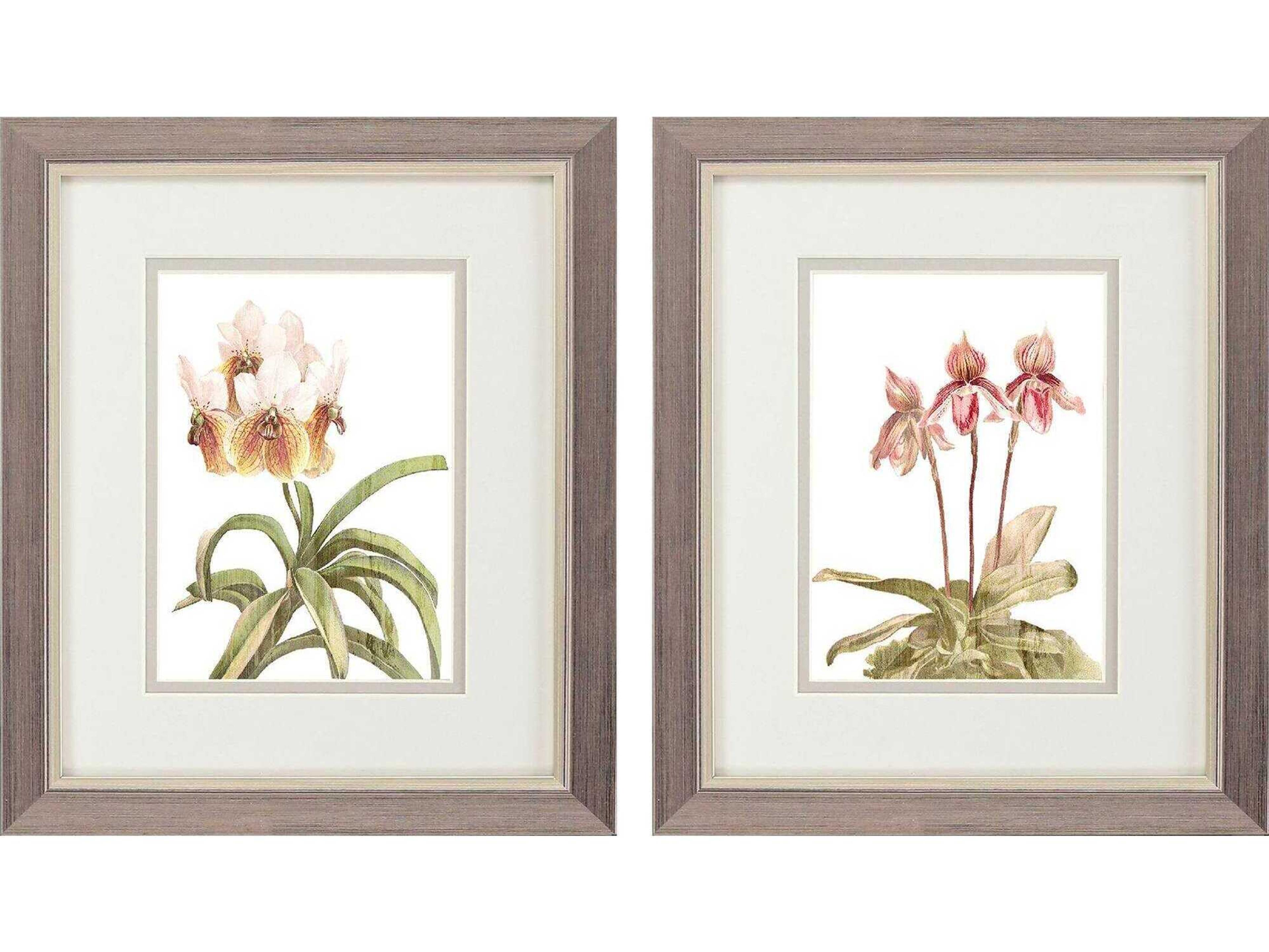 Paragon Florals Floral Beauty-II Wall Art Set of 2