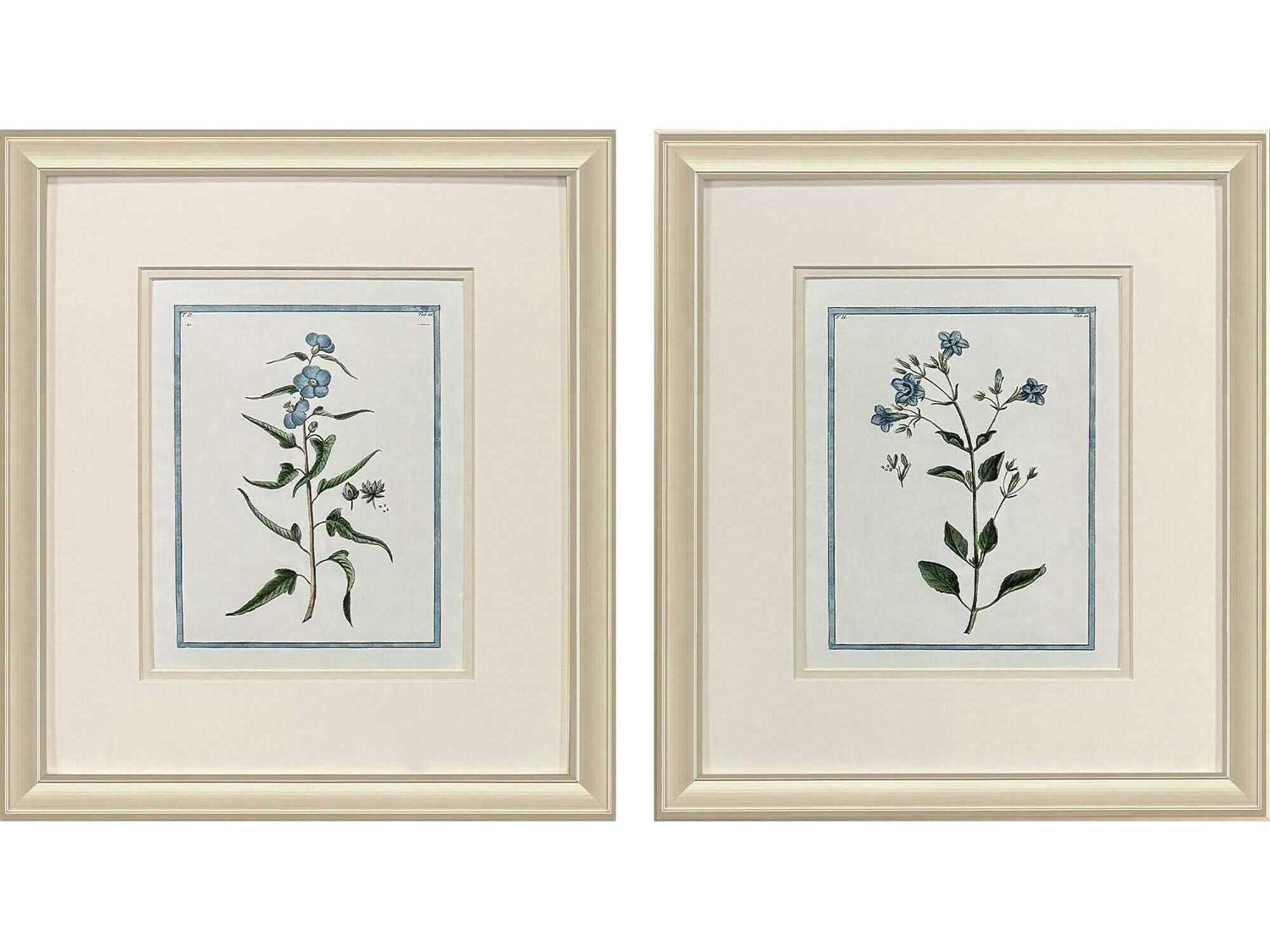 Paragon Florals Shabby Chic Botanical Wall Art Set of 2