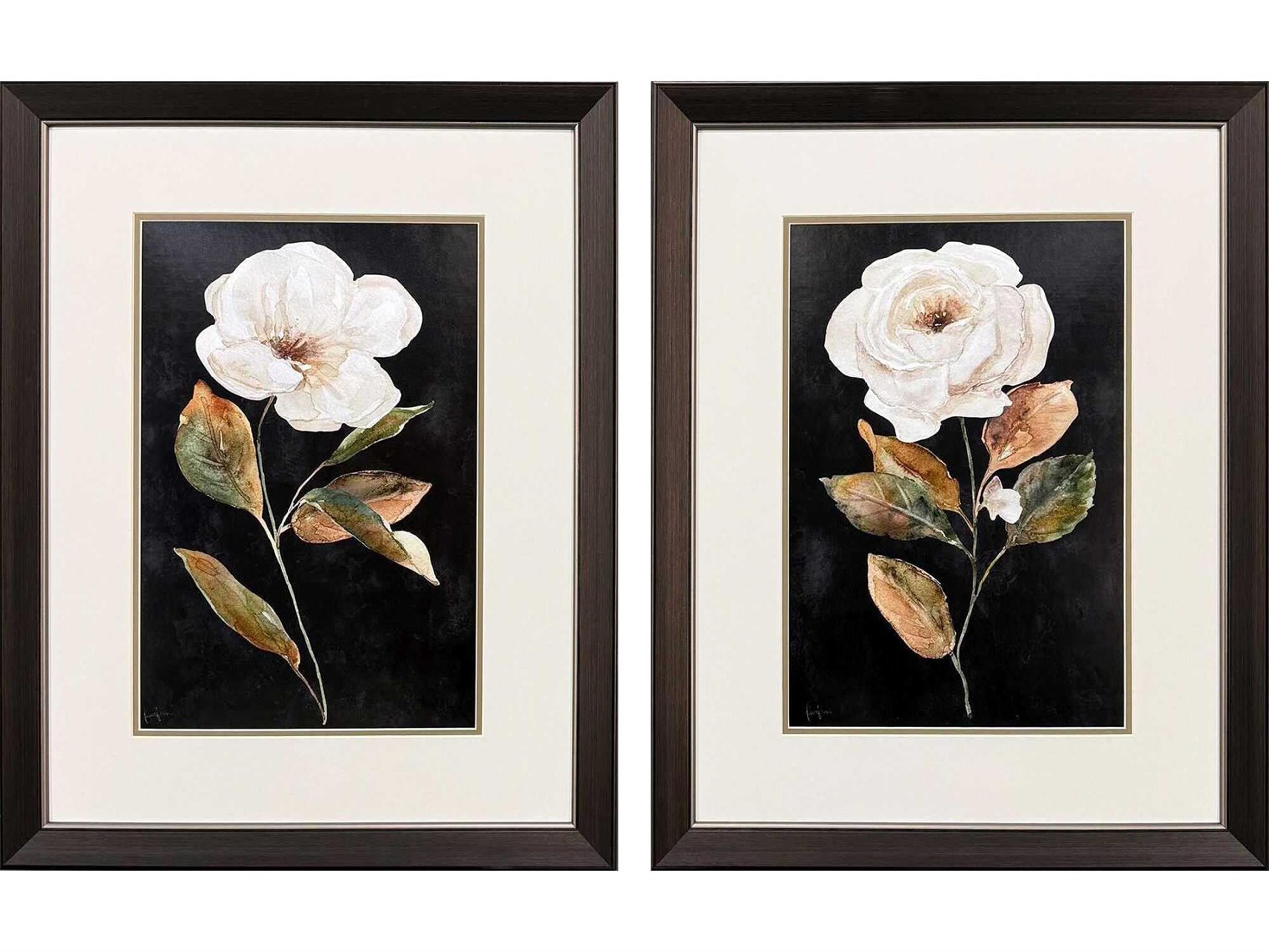 Paragon Florals Botanical on Black Wall Art Set of 2