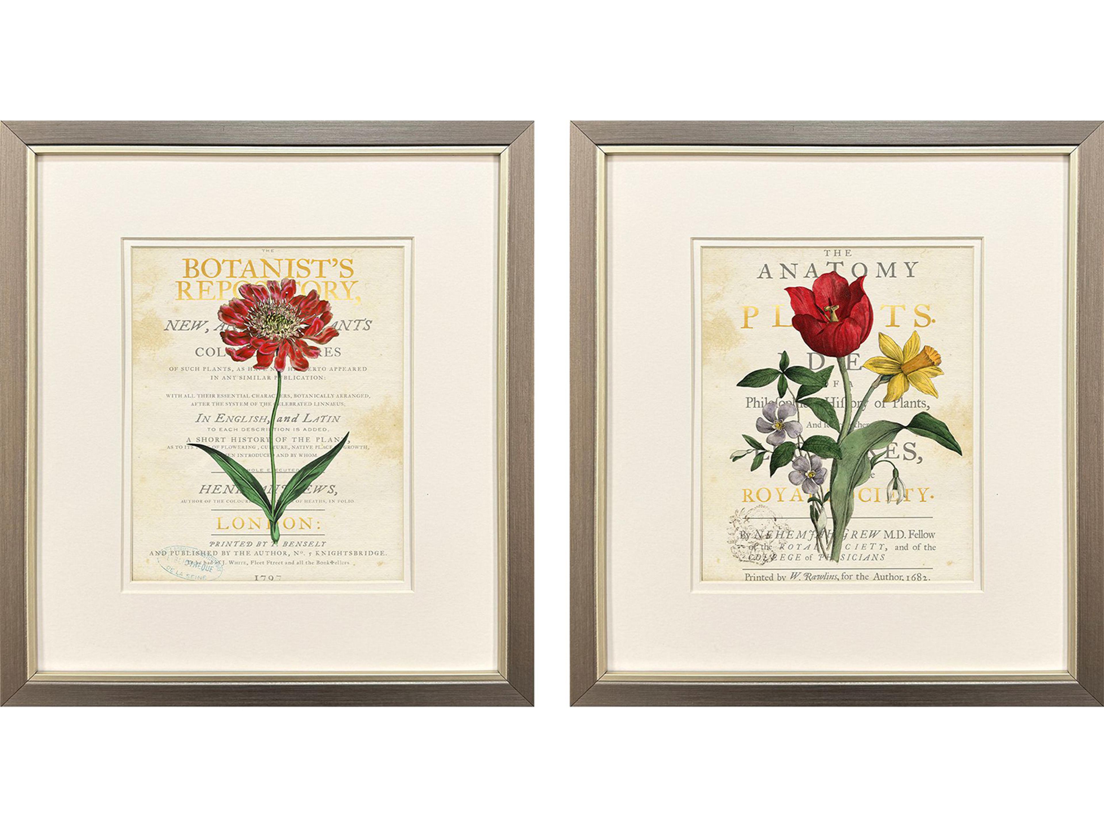 Paragon Favorite Flowers II Framed Art - Set of 2