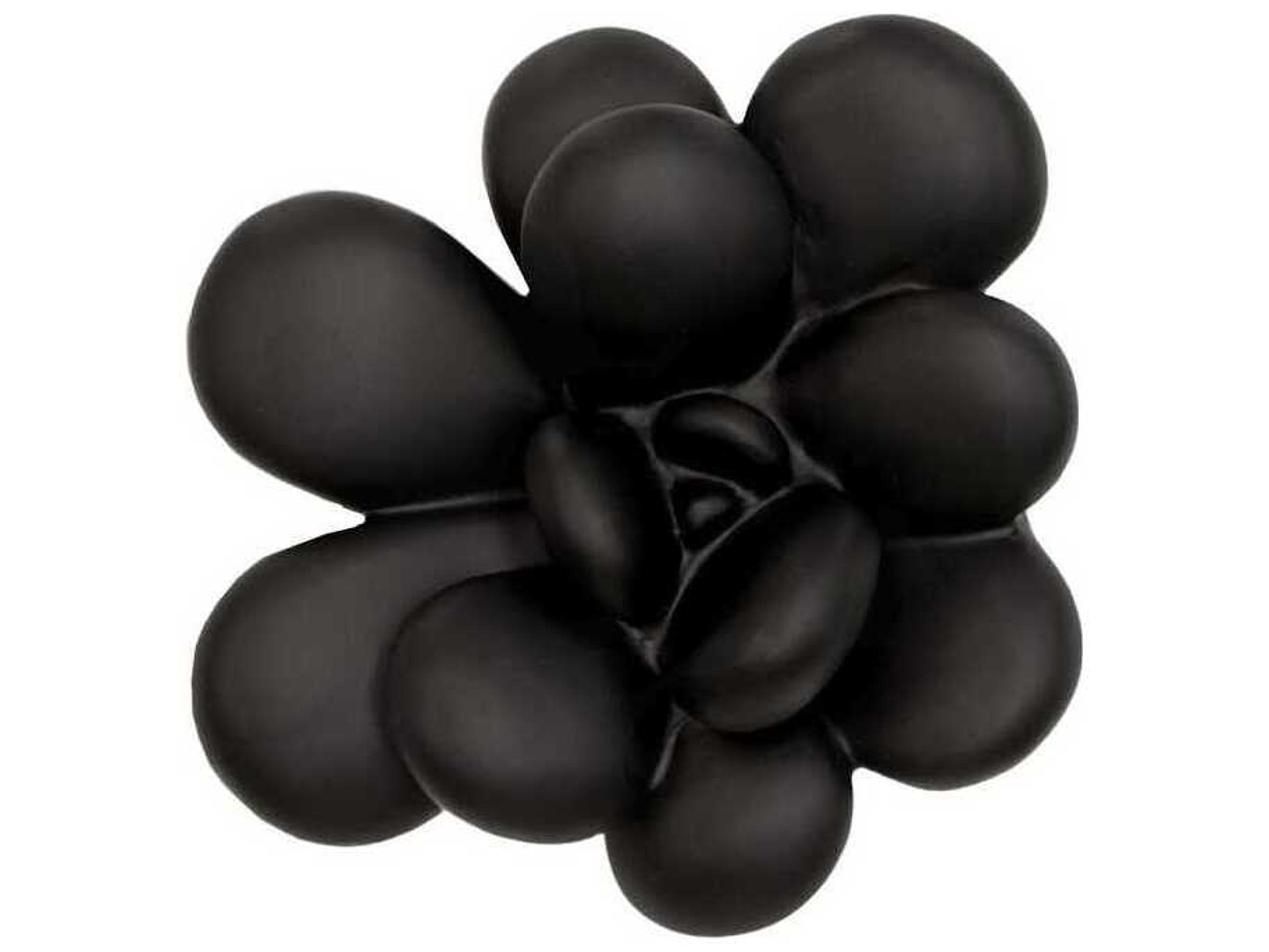 Phillips Collection Botanical Designs Oviferum Succulent Wall Art