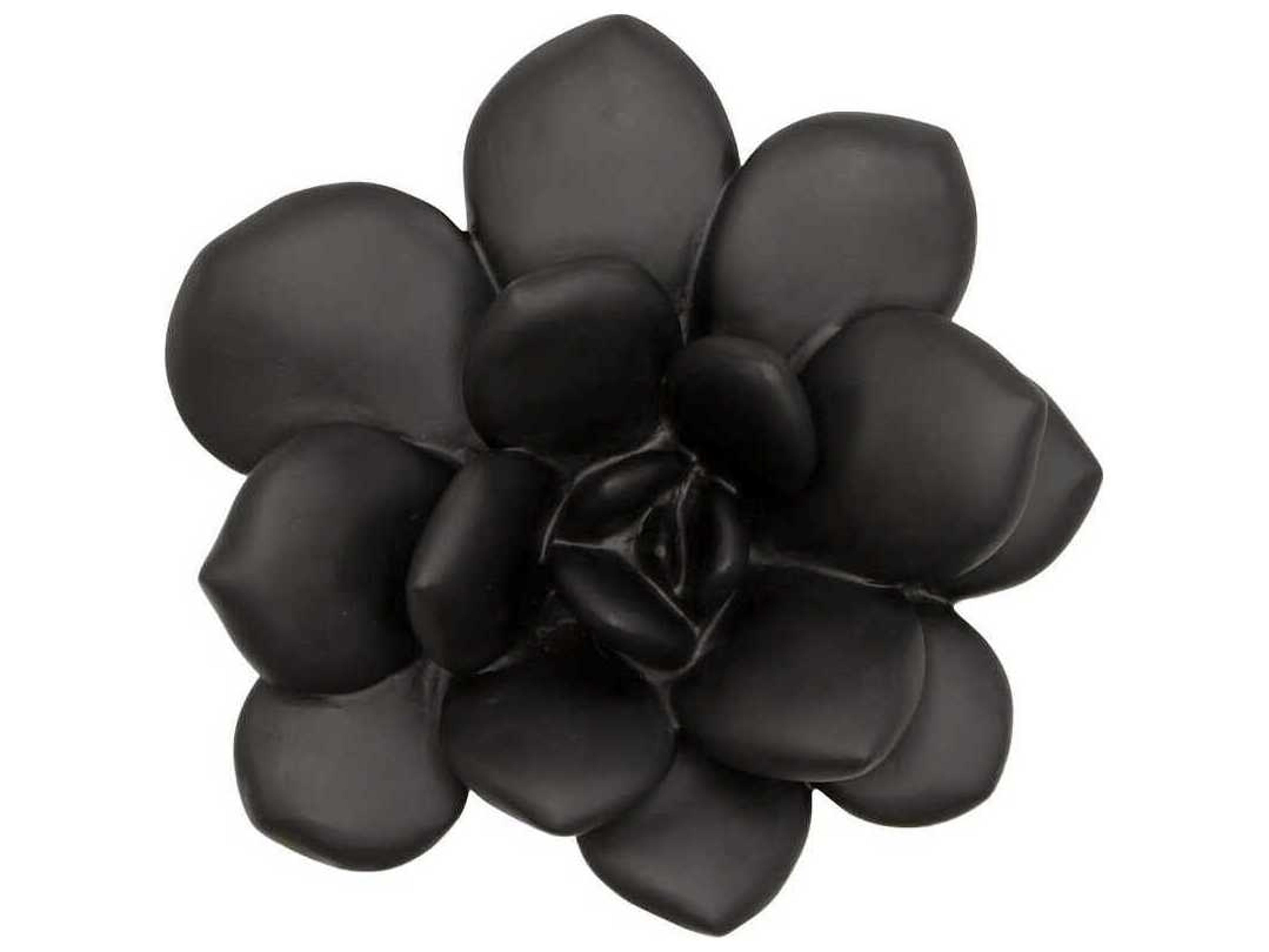 Phillips Collection Botanical Designs Laui Succulent Wall Art