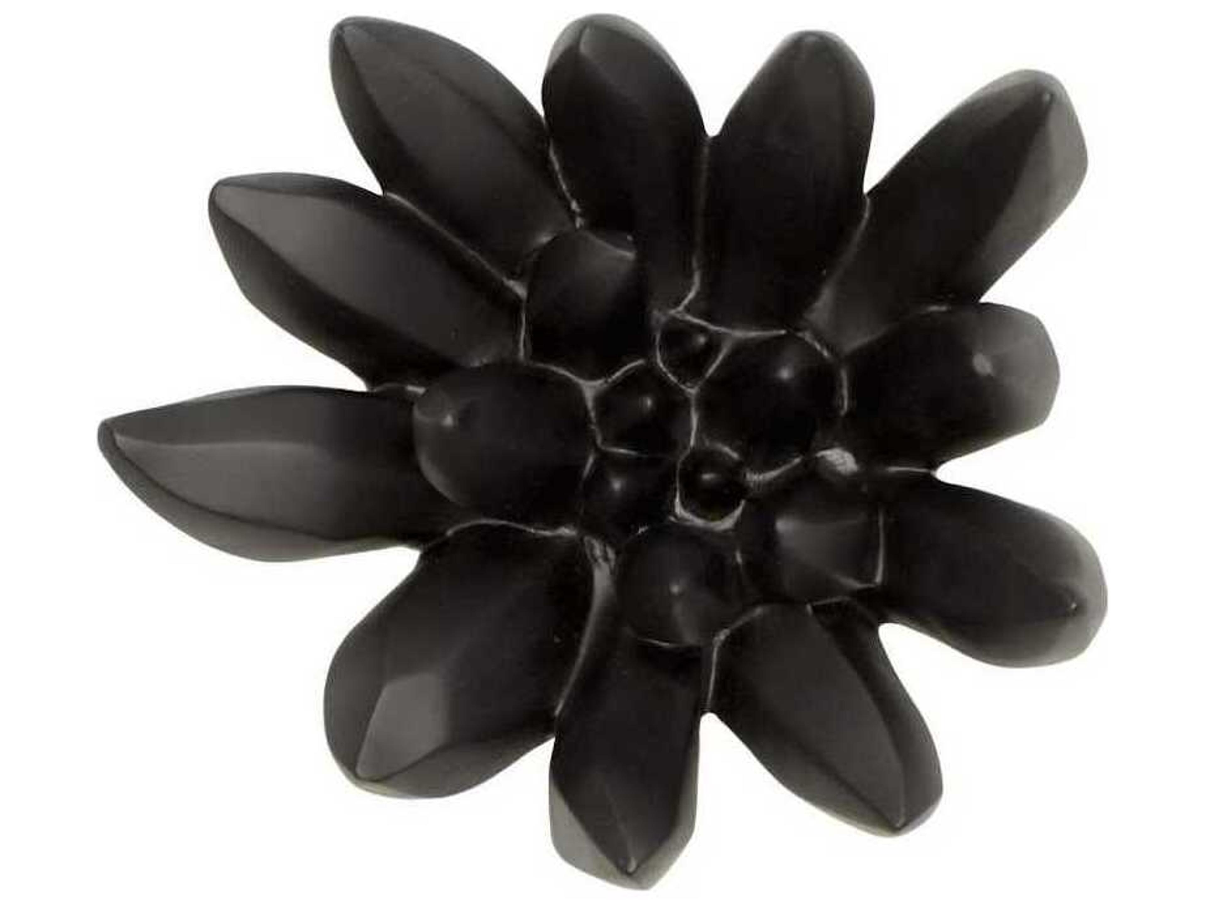 Phillips Collection Botanical Designs Compactum Succulent Wall Art