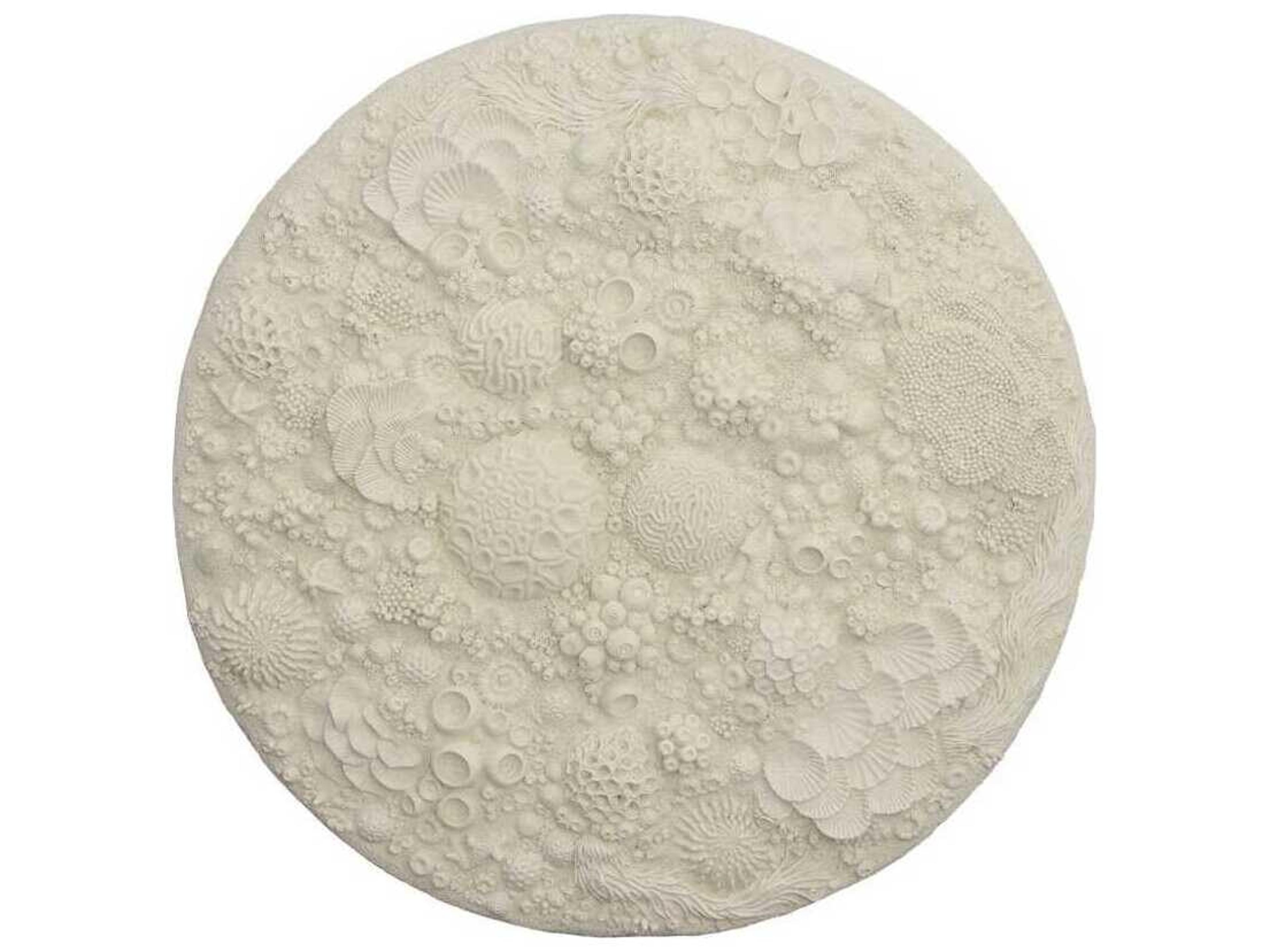 Phillips Collection Coral Reef Wall Art