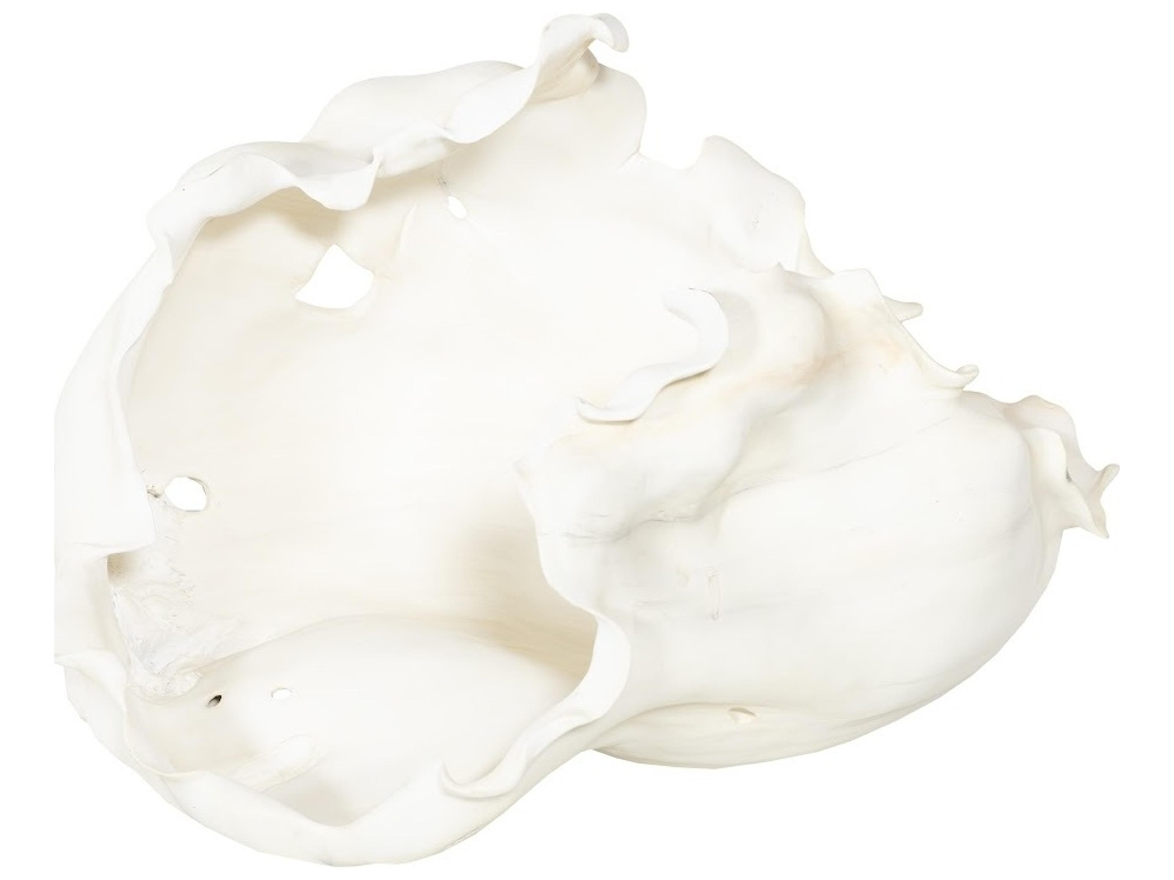 Phillips Collection Cast Root Bowl in Open