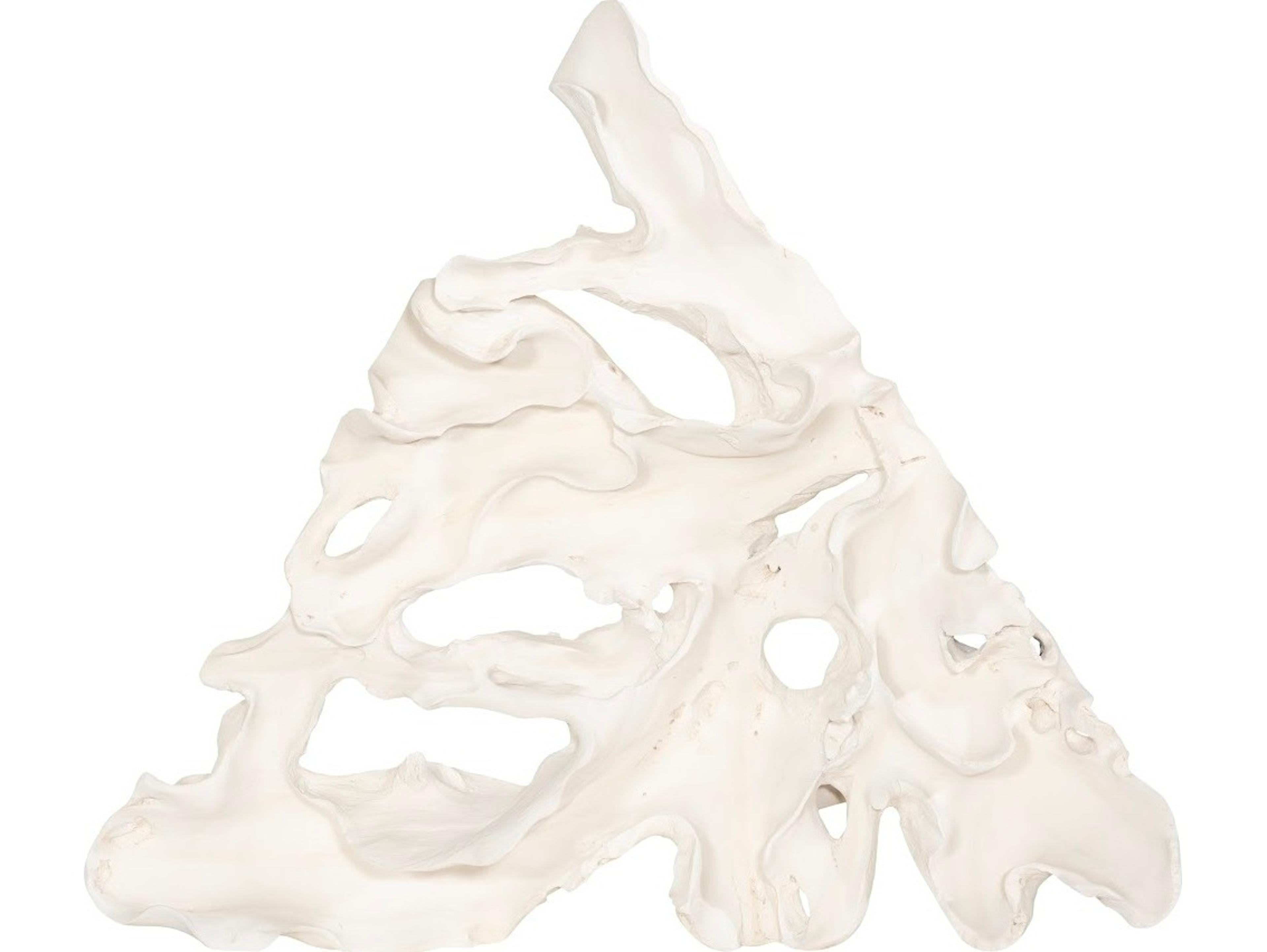 Phillips Collection Contour Cast Root 3D Wall Art