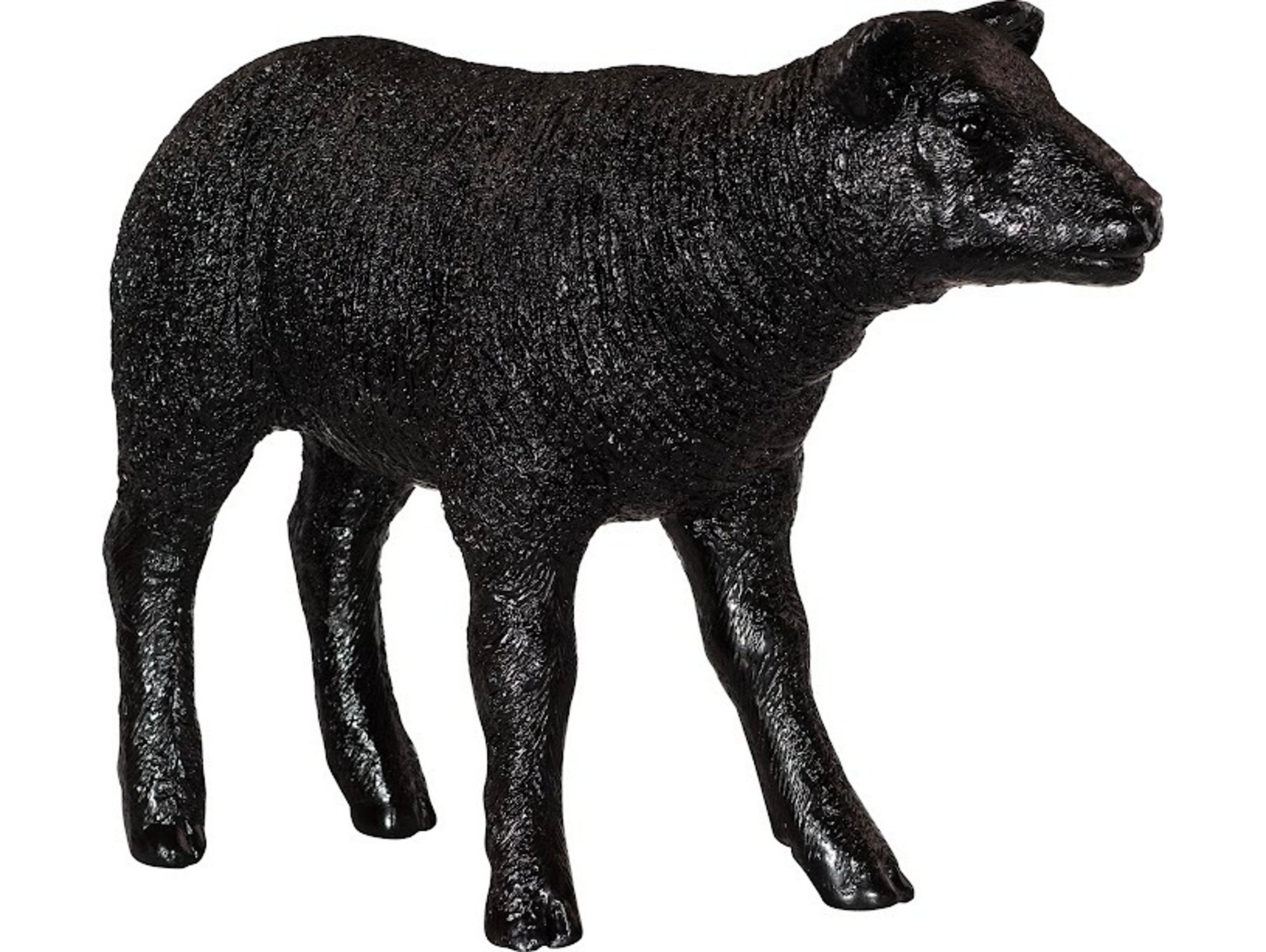 Texelaar Sheep, Lamb Black Gel Coat Sculpture